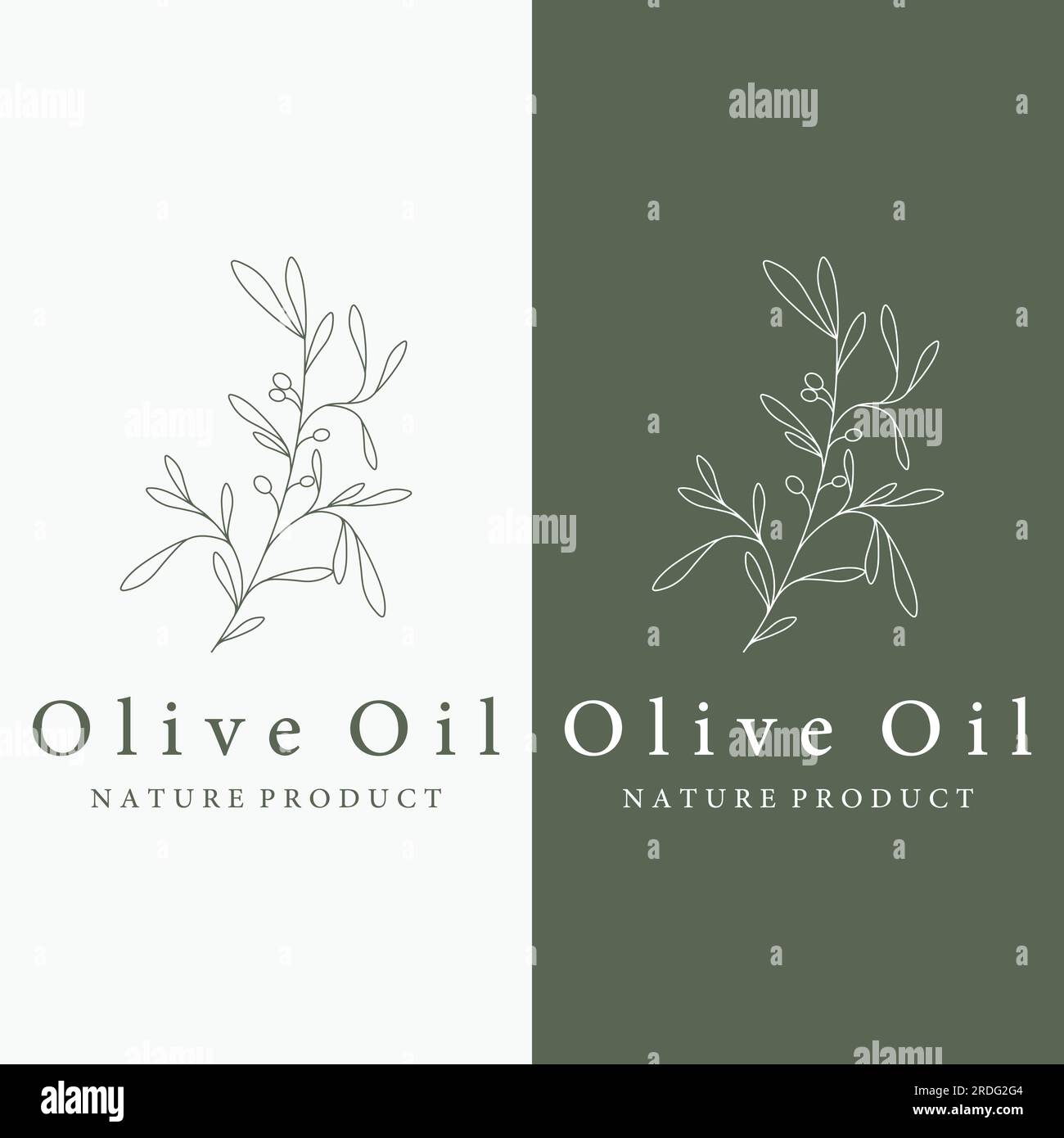 Logo botanico disegnato a mano, foglie e frutti di oliva naturali. Erbe, olio d'oliva, cosmetici o bellezza. Illustrazione Vettoriale