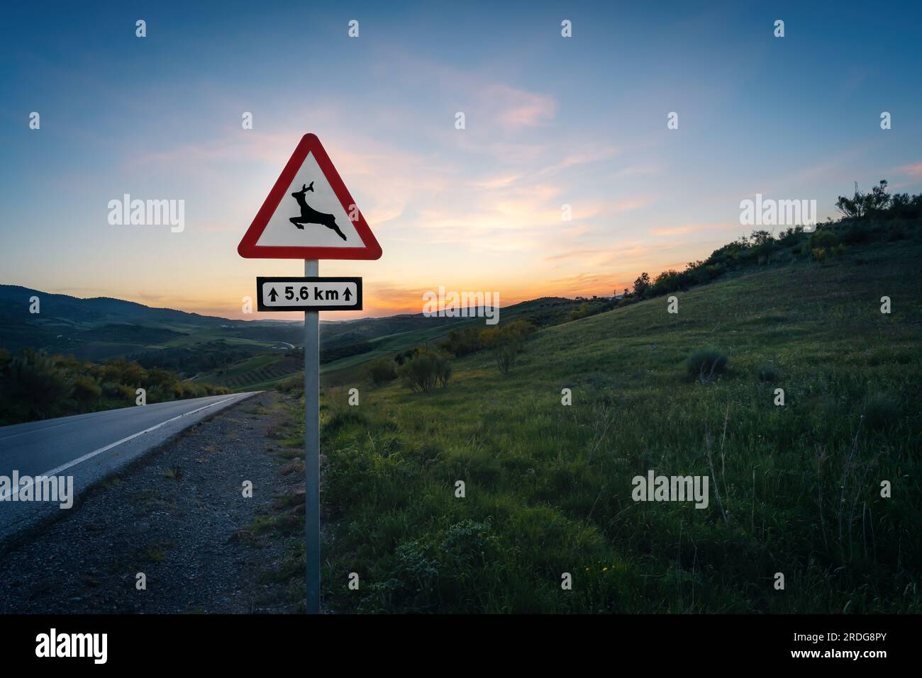 Segnali stradali di avvertimento per animali selvatici su una strada al tramonto - Zahara de la Sierra, Andalusia, Spagna Foto Stock