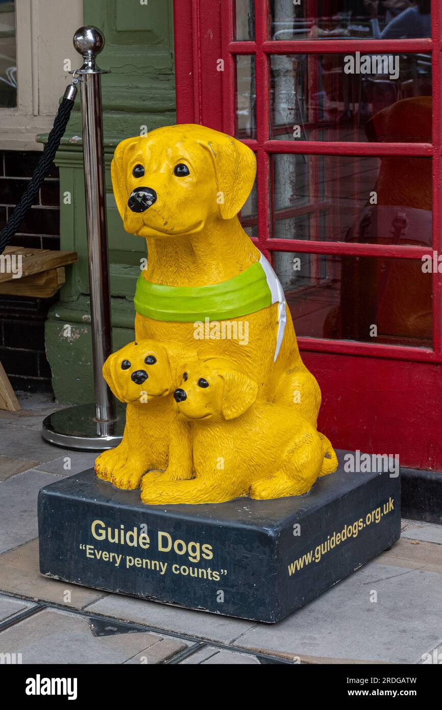 Una confezione vintage Guide Dogs for the Blind Charity Collection di un labrador e dei suoi due cuccioli con il messaggio "ogni centesimo conta", Inghilterra, Regno Unito Foto Stock