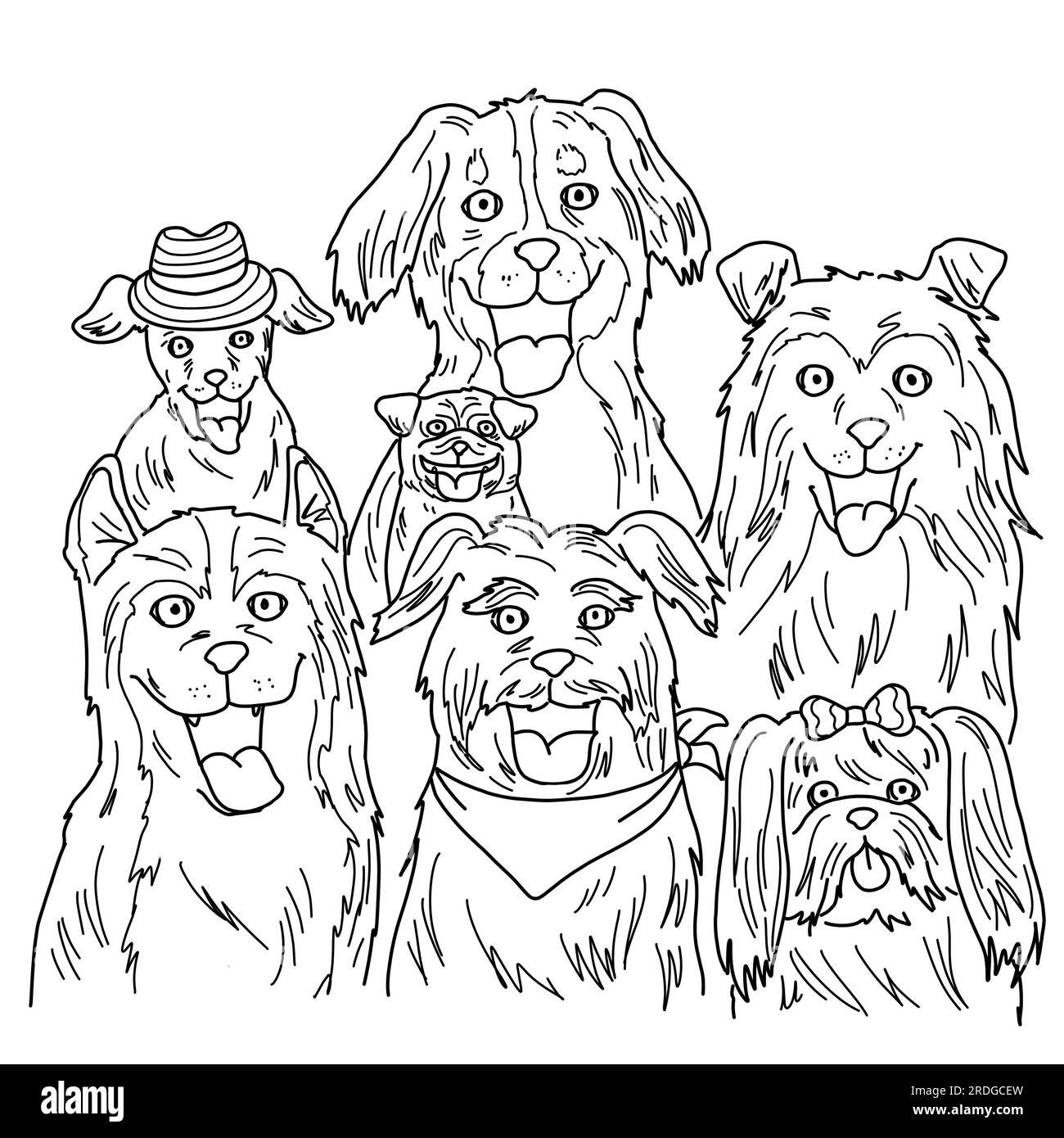 Un gruppo di cani felici affronta sorridendo e allegramente. Illustrazione stile di disegno manuale isolato su sfondo bianco. Foto Stock