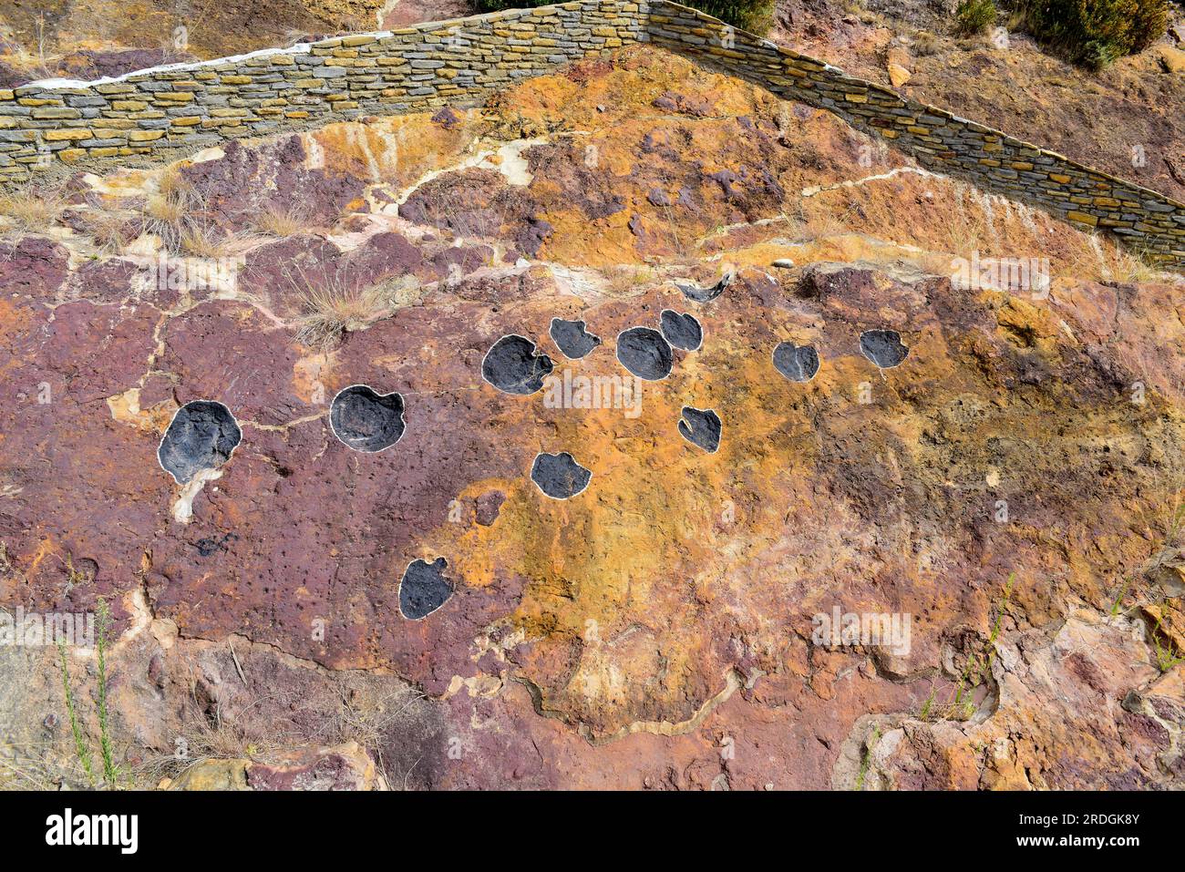 Ichnofossili o tracce di fossili di dinosauri sauropodi impronte. Questa foto è stata scattata ad Aren, Huesca, Aragona, Spagna. Foto Stock