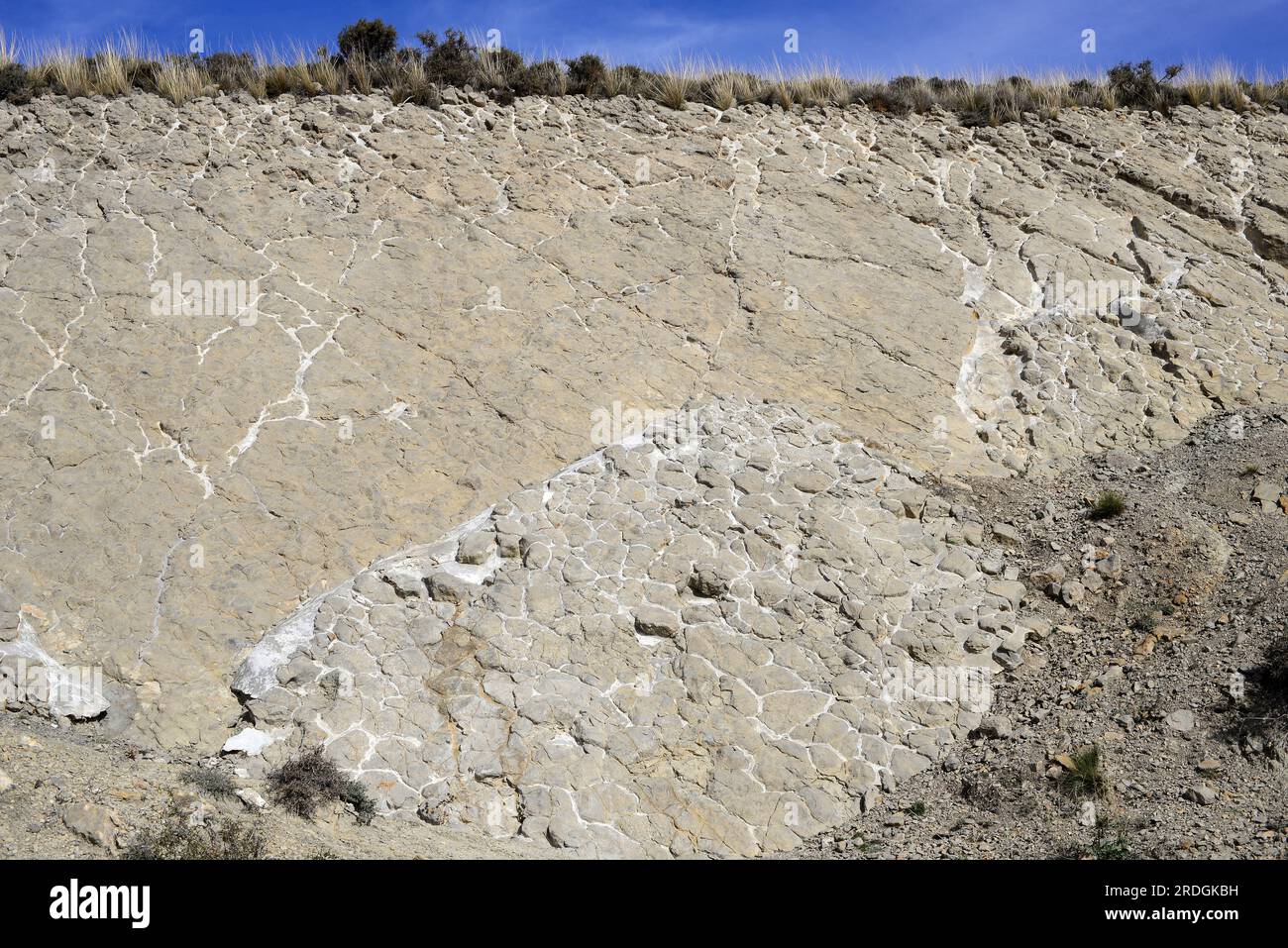 Ichnofossils o tracce fossili di sauropodi impronte di dinosauri. Questa foto è stata scattata a Mirhai, Teruel, Aragona, Spagna. Foto Stock