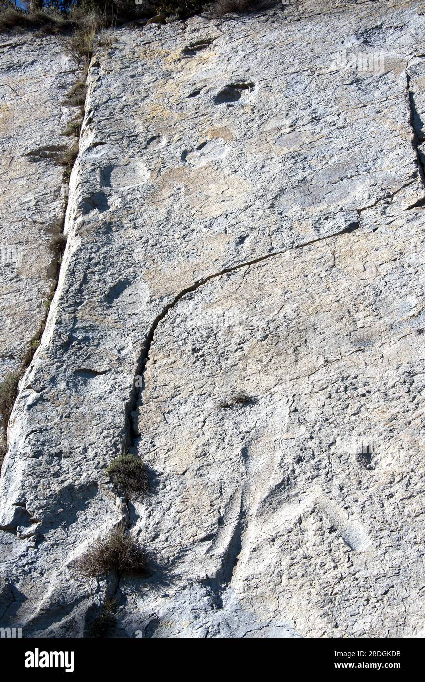 Ichnofossils o tracce fossili di sauropodi impronte di dinosauri (Titanosaurus). Questa foto è stata scattata a Mina Esquirol, Figols, Barcellona, Catalogna, S. Foto Stock