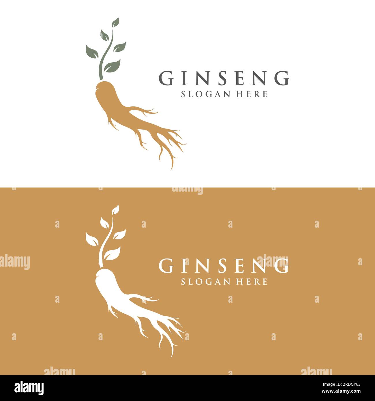 Ginseng naturale pianta di erbe logo e foglie.Logo per affari, erbe, floreale. Illustrazione Vettoriale