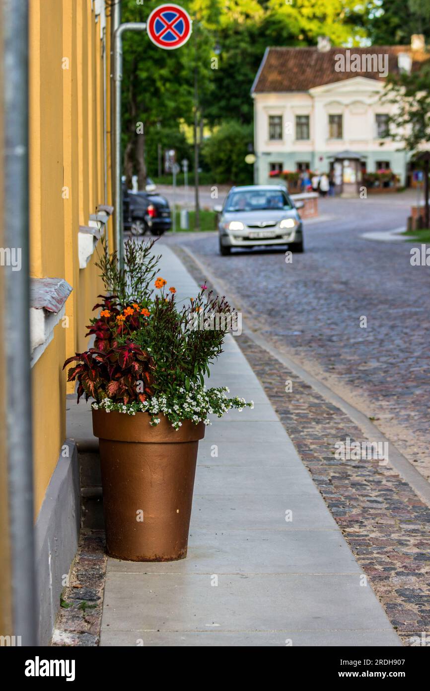 Un vaso di diverse inondazioni in città vicino alla strada, automobili, segnaletica stradale nella città vecchia. Foto Stock