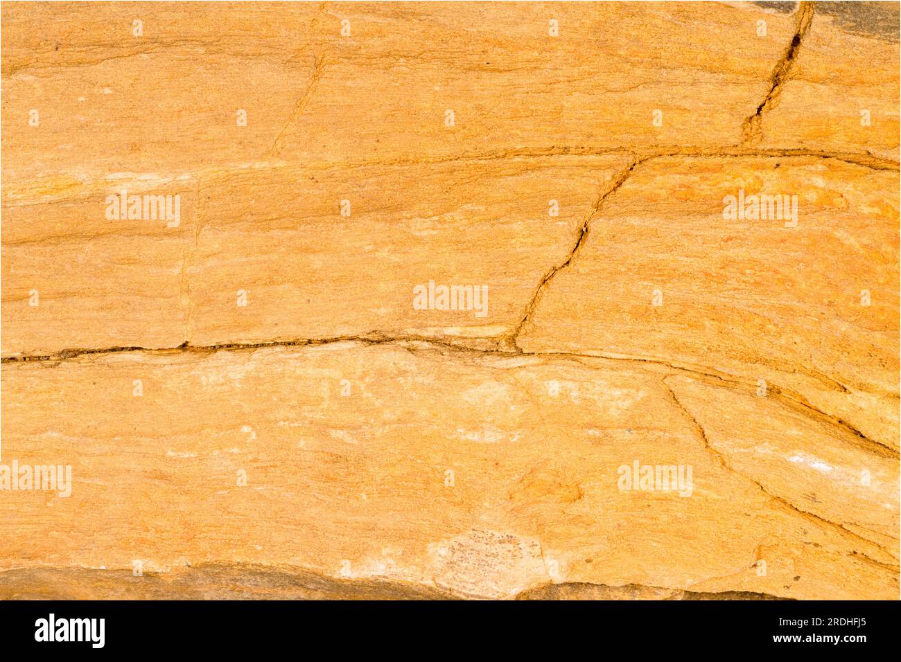 Disegni, legno di grano, e crepe in un colpo macro di un pezzo di legno pietrificato. Foto Stock