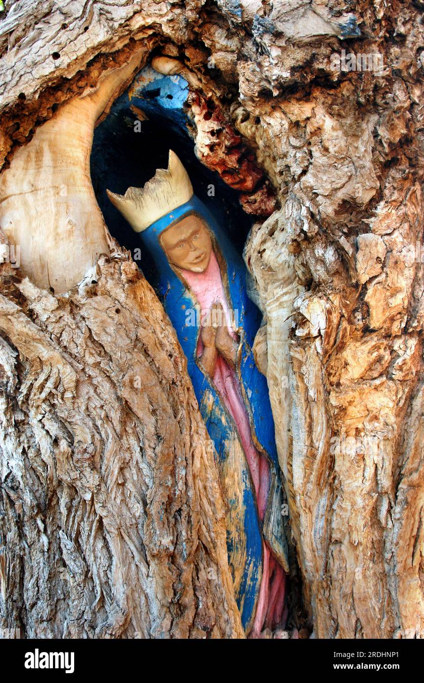 La più antica parrocchia cattolica di Albuquerque ha un'immagine scolpita della Virgen de Guadalupe nella ferita aperta di un antico legno di cottonwood morente. La leggenda crede Foto Stock