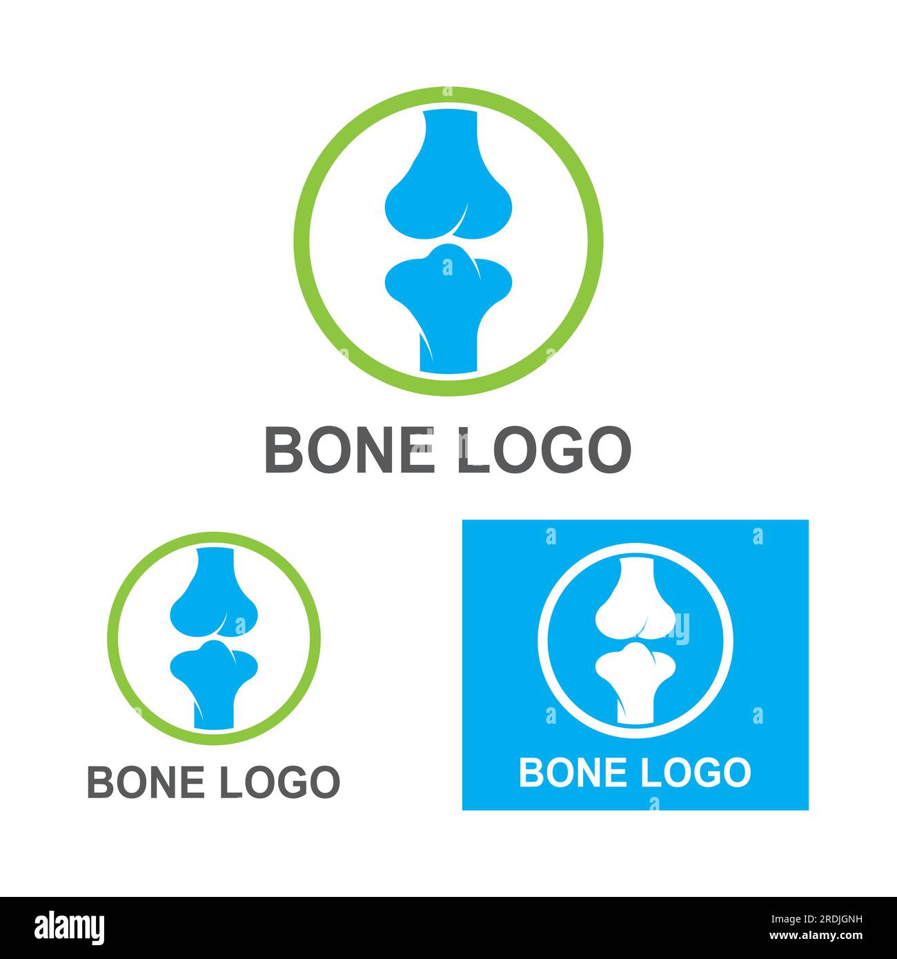 Icona del logo osseo design vettoriale Illustrazione Vettoriale