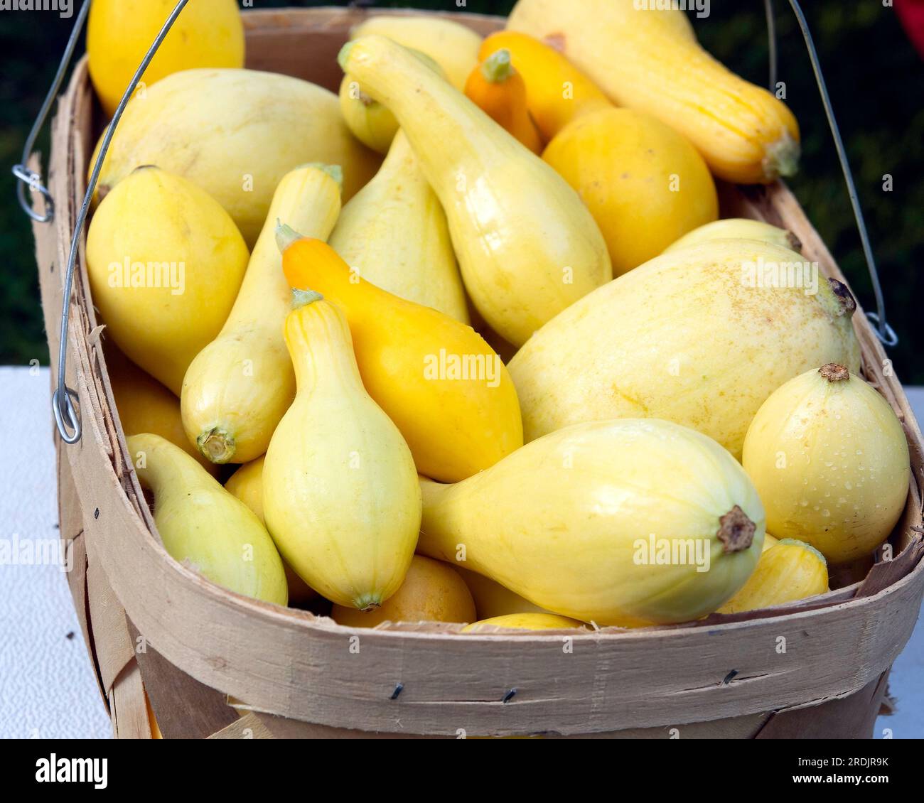 Zucca gialla a collo di cocco in un cestino in vendita presso un mercato agricolo locale in estate. Foto Stock