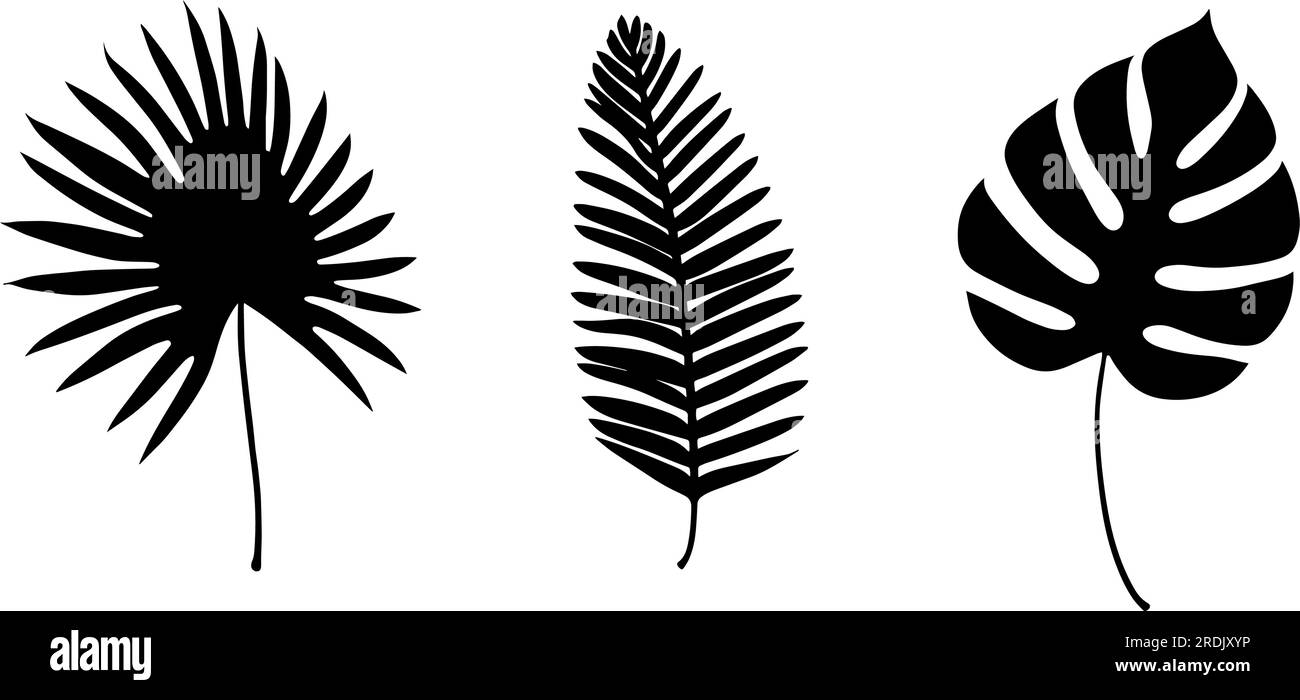 Set di icone della silhouette delle foglie tropicali. Illustrazione vettoriale Illustrazione Vettoriale