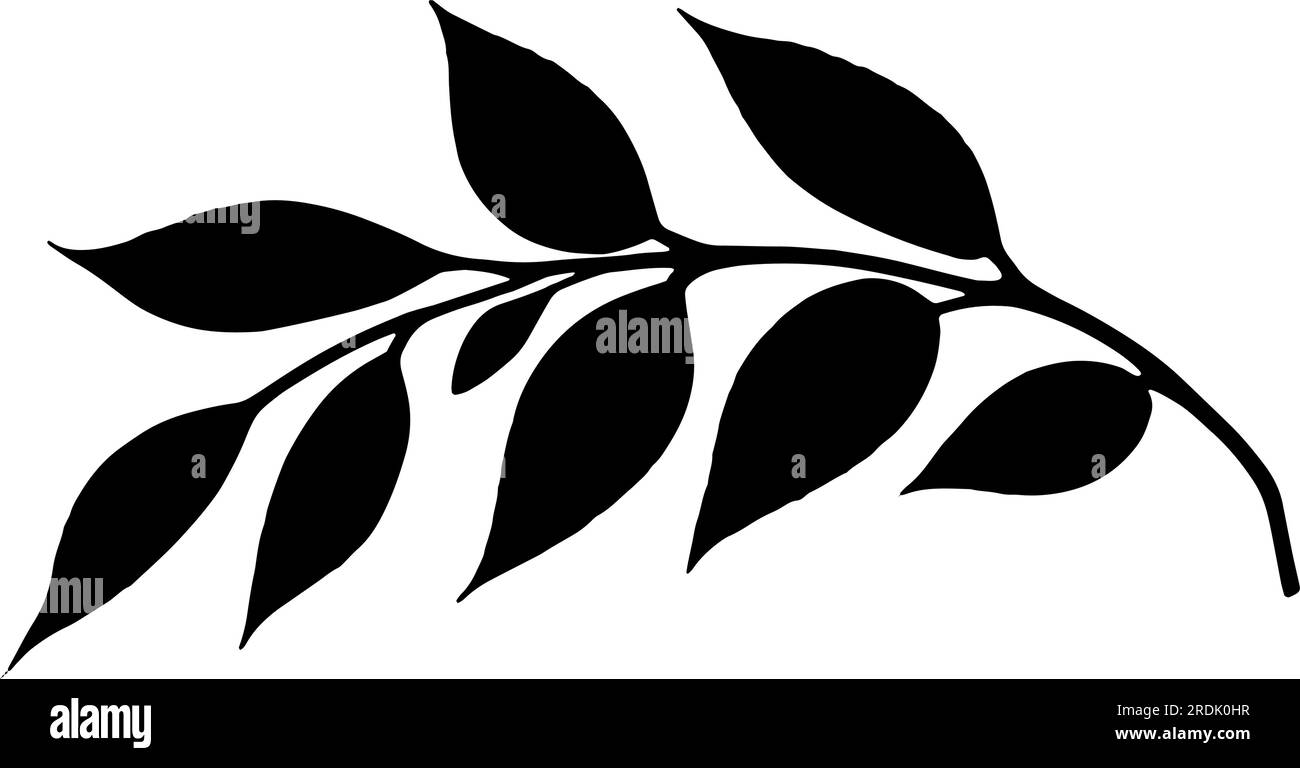 Ramificazione con foglie e stelo sagomato. Illustrazione vettoriale Illustrazione Vettoriale