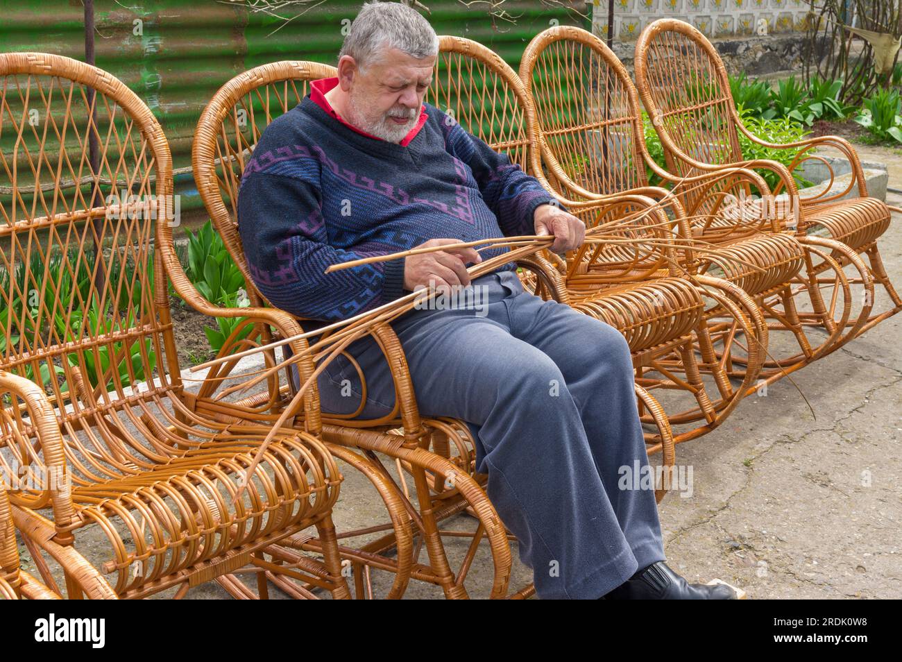 Uomo ucraino anziano che smistava con il withe mentre realizzava una sedia a dondolo in vimini nel giardino estivo Foto Stock
