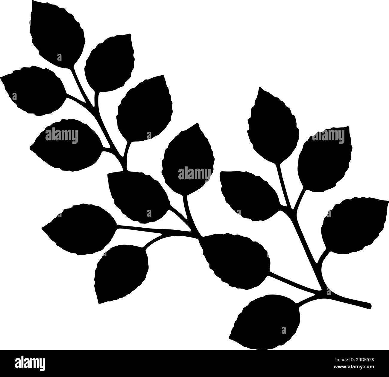 Ramificazione con foglie e stelo sagomato. Illustrazione vettoriale Illustrazione Vettoriale
