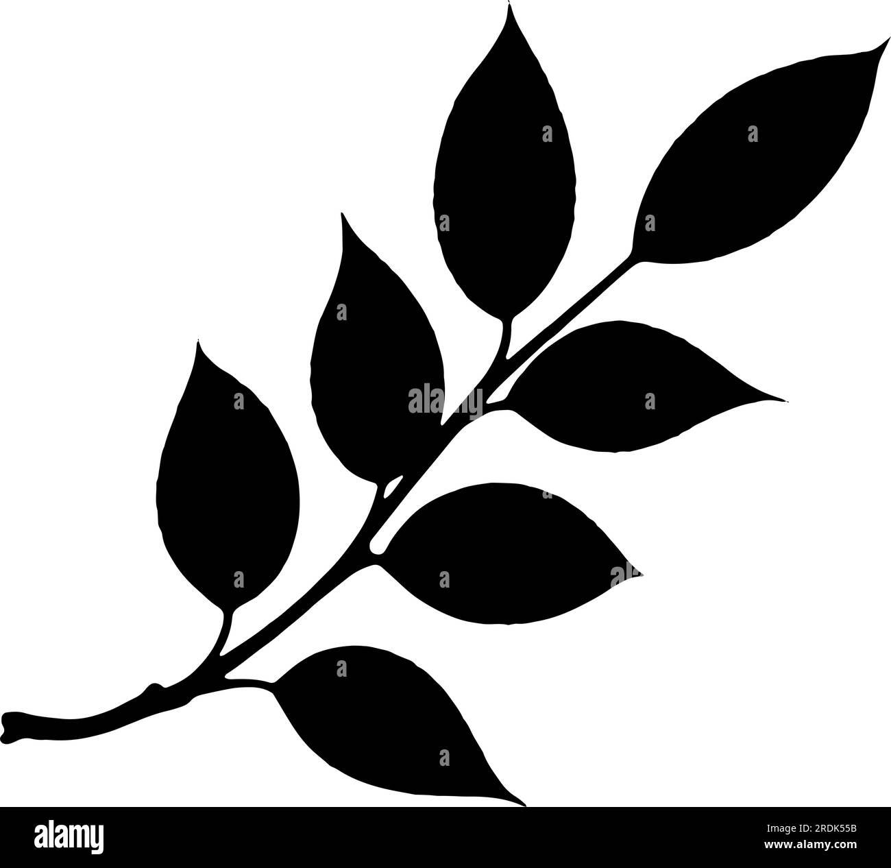 Ramificazione con foglie e stelo sagomato. Illustrazione vettoriale Illustrazione Vettoriale