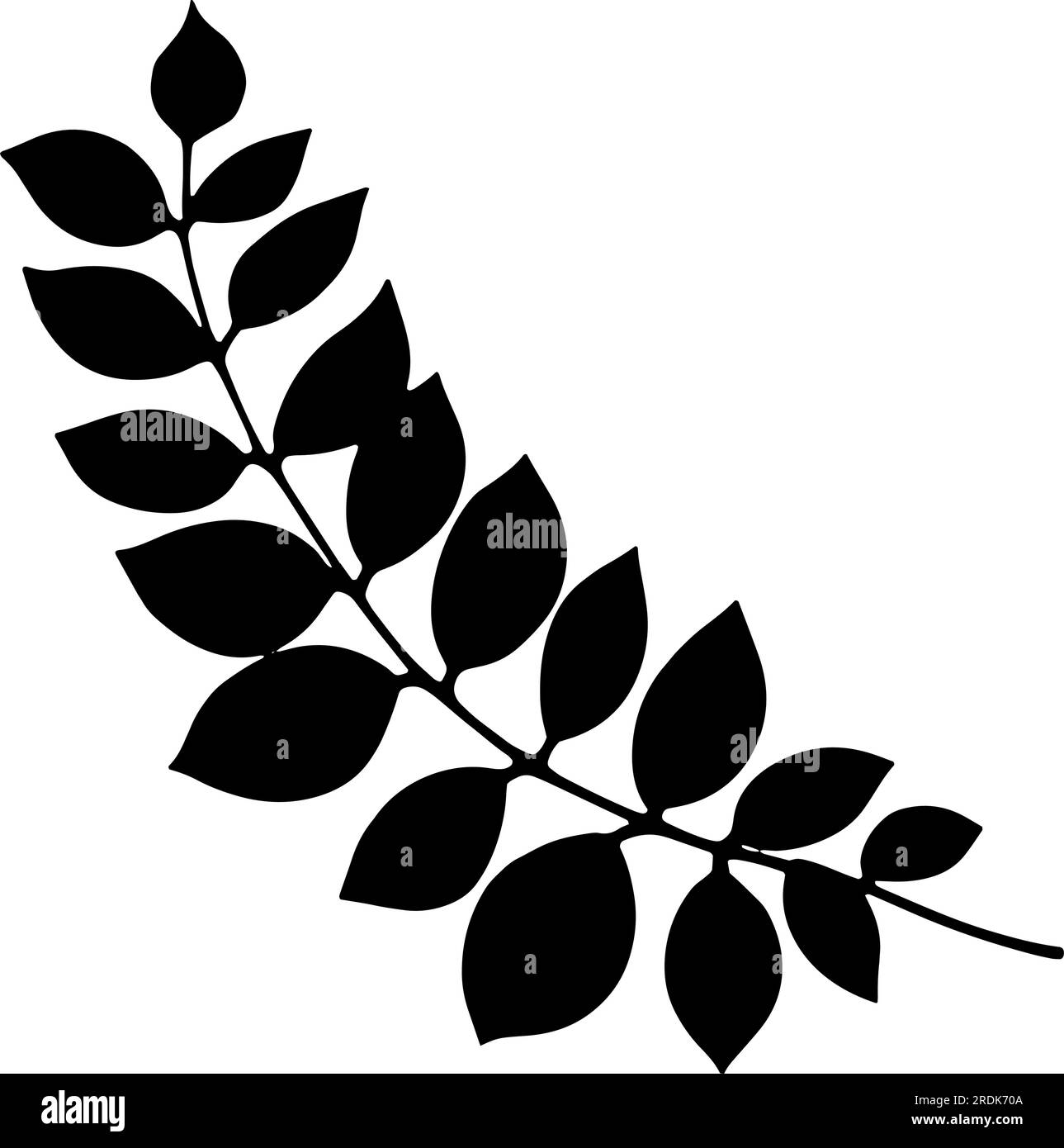 Ramificazione con foglie e stelo sagomato. Illustrazione vettoriale Illustrazione Vettoriale