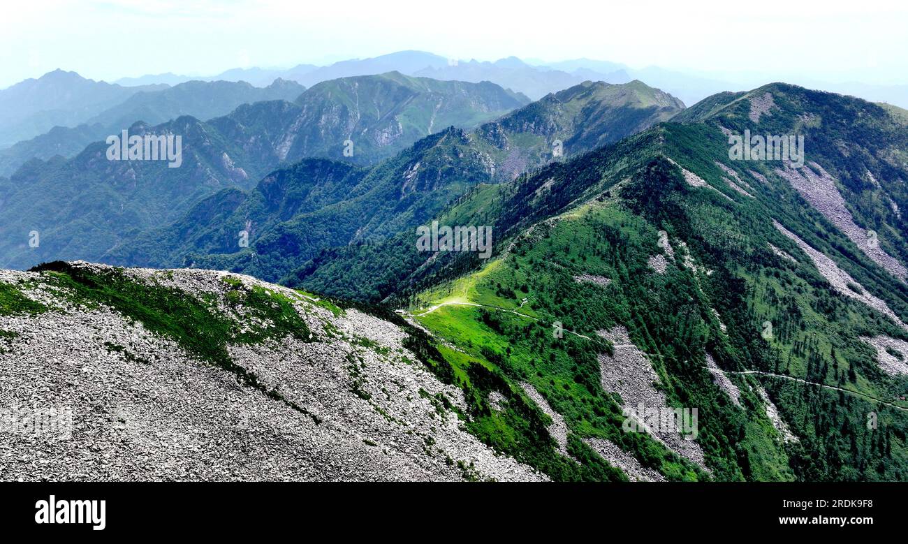 XI'an. 21 luglio 2023. Questa foto aerea scattata il 21 luglio 2023 mostra il mare roccioso e il prato degli altopiani presso il Parco Nazionale forestale di Zhuque a Xi'an, nella provincia dello Shaanxi della Cina nord-occidentale. Il parco, situato nel corso superiore del fiume Laohe orientale e nel nord dei monti Qinling, copre un'area di 2.621 ettari, e il suo punto più alto il picco Bingjing ha un'altitudine di 3.015 metri. Lungo la strada che conduce alla vetta si possono ammirare paesaggi incredibili come la foresta vergine, i resti di ghiacciai e il mare nuvoloso. Crediti: Liu Xiao/Xinhua/Alamy Live News Foto Stock