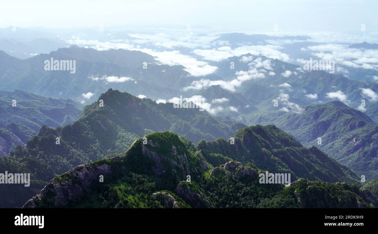 XI'an. 21 luglio 2023. Questa foto aerea scattata il 21 luglio 2023 mostra il mare nuvoloso sulle montagne Qinling visto dal Parco forestale nazionale di Zhuque a Xi'an, nella provincia dello Shaanxi della Cina nord-occidentale. Il parco, situato nel corso superiore del fiume Laohe orientale e nel nord dei monti Qinling, copre un'area di 2.621 ettari, e il suo punto più alto il picco Bingjing ha un'altitudine di 3.015 metri. Lungo la strada che conduce alla vetta si possono ammirare paesaggi incredibili come la foresta vergine, i resti di ghiacciai e il mare nuvoloso. Crediti: Liu Xiao/Xinhua/Alamy Live News Foto Stock