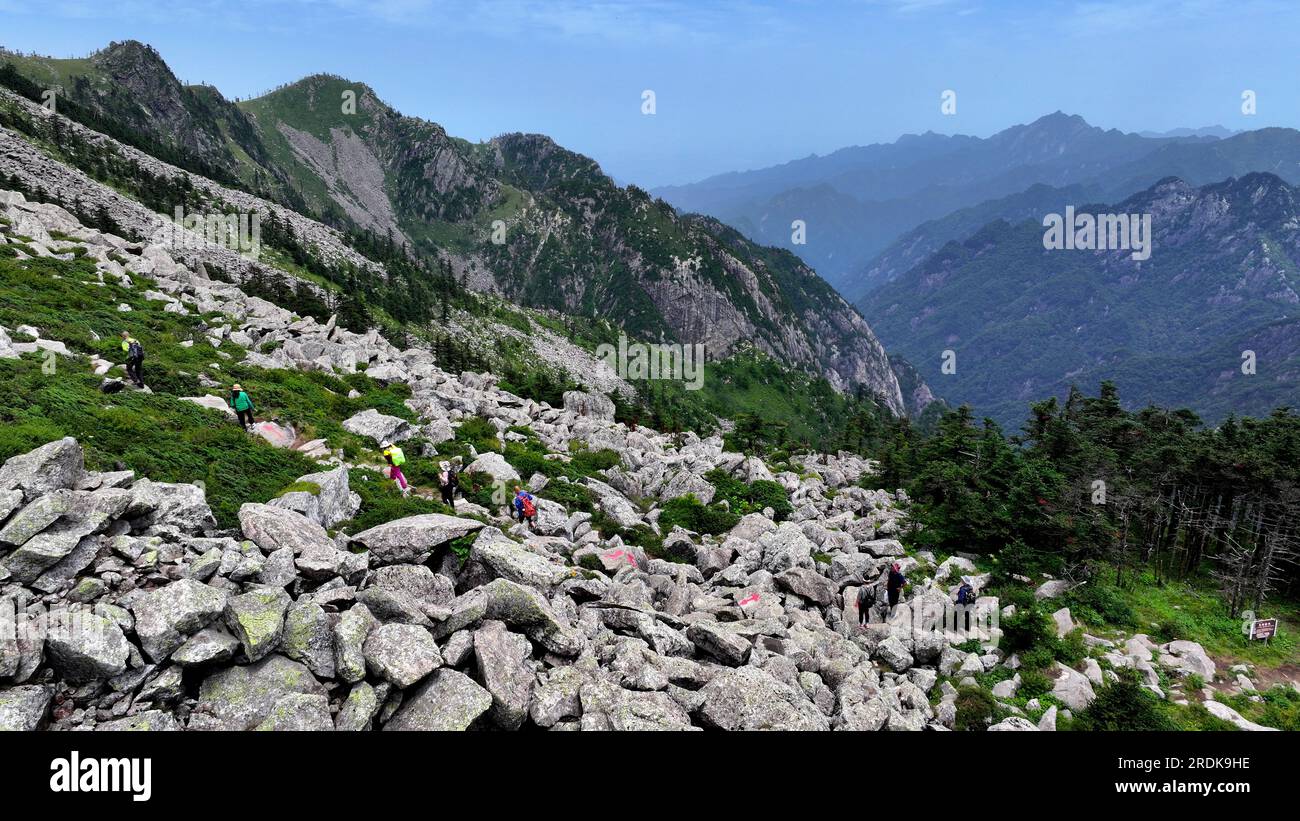 XI'an. 21 luglio 2023. Questa foto aerea scattata il 21 luglio 2023 mostra i visitatori che salgono fino alla vetta del Parco Nazionale della Foresta di Zhuque a Xi'an, nella provincia dello Shaanxi della Cina nord-occidentale. Il parco, situato nel corso superiore del fiume Laohe orientale e nel nord dei monti Qinling, copre un'area di 2.621 ettari, e il suo punto più alto il picco Bingjing ha un'altitudine di 3.015 metri. Lungo la strada che conduce alla vetta si possono ammirare paesaggi incredibili come la foresta vergine, i resti di ghiacciai e il mare nuvoloso. Crediti: Liu Xiao/Xinhua/Alamy Live News Foto Stock