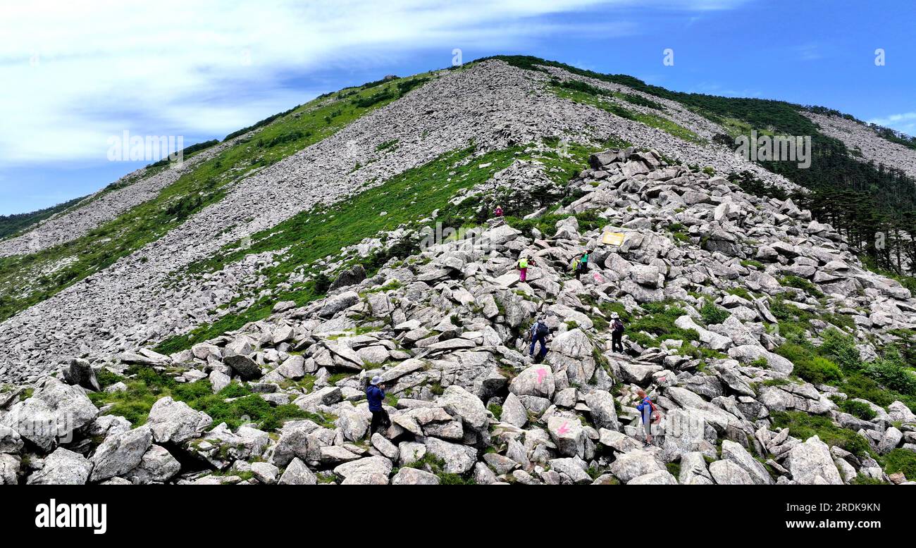 XI'an. 21 luglio 2023. Questa foto aerea scattata il 21 luglio 2023 mostra i visitatori che salgono fino alla vetta del Parco Nazionale della Foresta di Zhuque a Xi'an, nella provincia dello Shaanxi della Cina nord-occidentale. Il parco, situato nel corso superiore del fiume Laohe orientale e nel nord dei monti Qinling, copre un'area di 2.621 ettari, e il suo punto più alto il picco Bingjing ha un'altitudine di 3.015 metri. Lungo la strada che conduce alla vetta si possono ammirare paesaggi incredibili come la foresta vergine, i resti di ghiacciai e il mare nuvoloso. Crediti: Liu Xiao/Xinhua/Alamy Live News Foto Stock