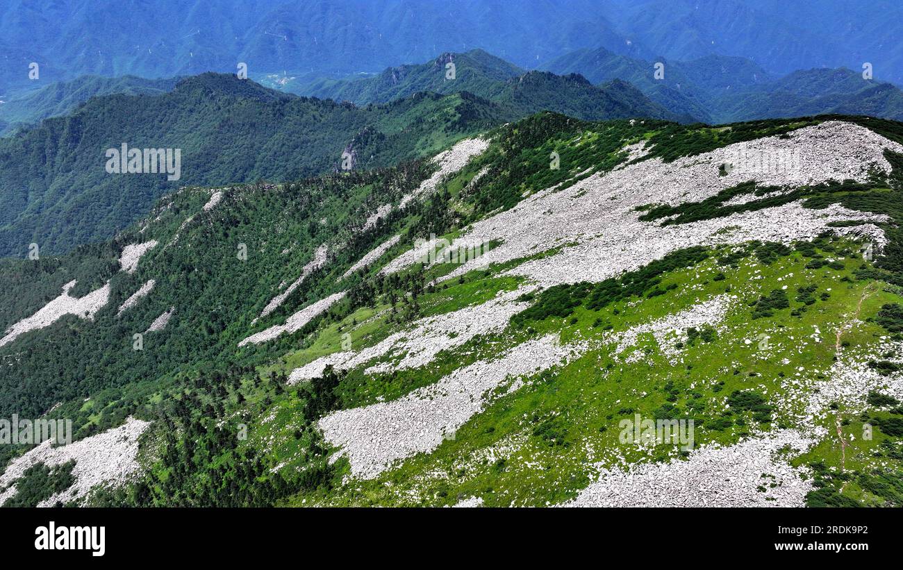XI'an. 21 luglio 2023. Questa foto aerea scattata il 21 luglio 2023 mostra il paesaggio presso il Parco Nazionale della Foresta di Zhuque a Xi'an, nella provincia dello Shaanxi della Cina nord-occidentale. Il parco, situato nel corso superiore del fiume Laohe orientale e nel nord dei monti Qinling, copre un'area di 2.621 ettari, e il suo punto più alto il picco Bingjing ha un'altitudine di 3.015 metri. Lungo la strada che conduce alla vetta si possono ammirare paesaggi incredibili come la foresta vergine, i resti di ghiacciai e il mare nuvoloso. Crediti: Liu Xiao/Xinhua/Alamy Live News Foto Stock