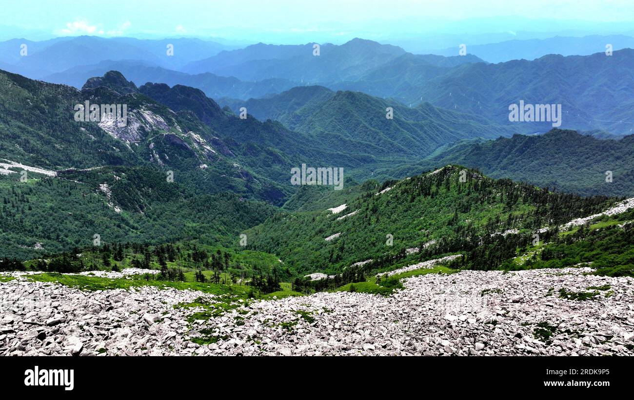 XI'an. 21 luglio 2023. Questa foto aerea scattata il 21 luglio 2023 mostra il paesaggio presso il Parco Nazionale della Foresta di Zhuque a Xi'an, nella provincia dello Shaanxi della Cina nord-occidentale. Il parco, situato nel corso superiore del fiume Laohe orientale e nel nord dei monti Qinling, copre un'area di 2.621 ettari, e il suo punto più alto il picco Bingjing ha un'altitudine di 3.015 metri. Lungo la strada che conduce alla vetta si possono ammirare paesaggi incredibili come la foresta vergine, i resti di ghiacciai e il mare nuvoloso. Crediti: Liu Xiao/Xinhua/Alamy Live News Foto Stock