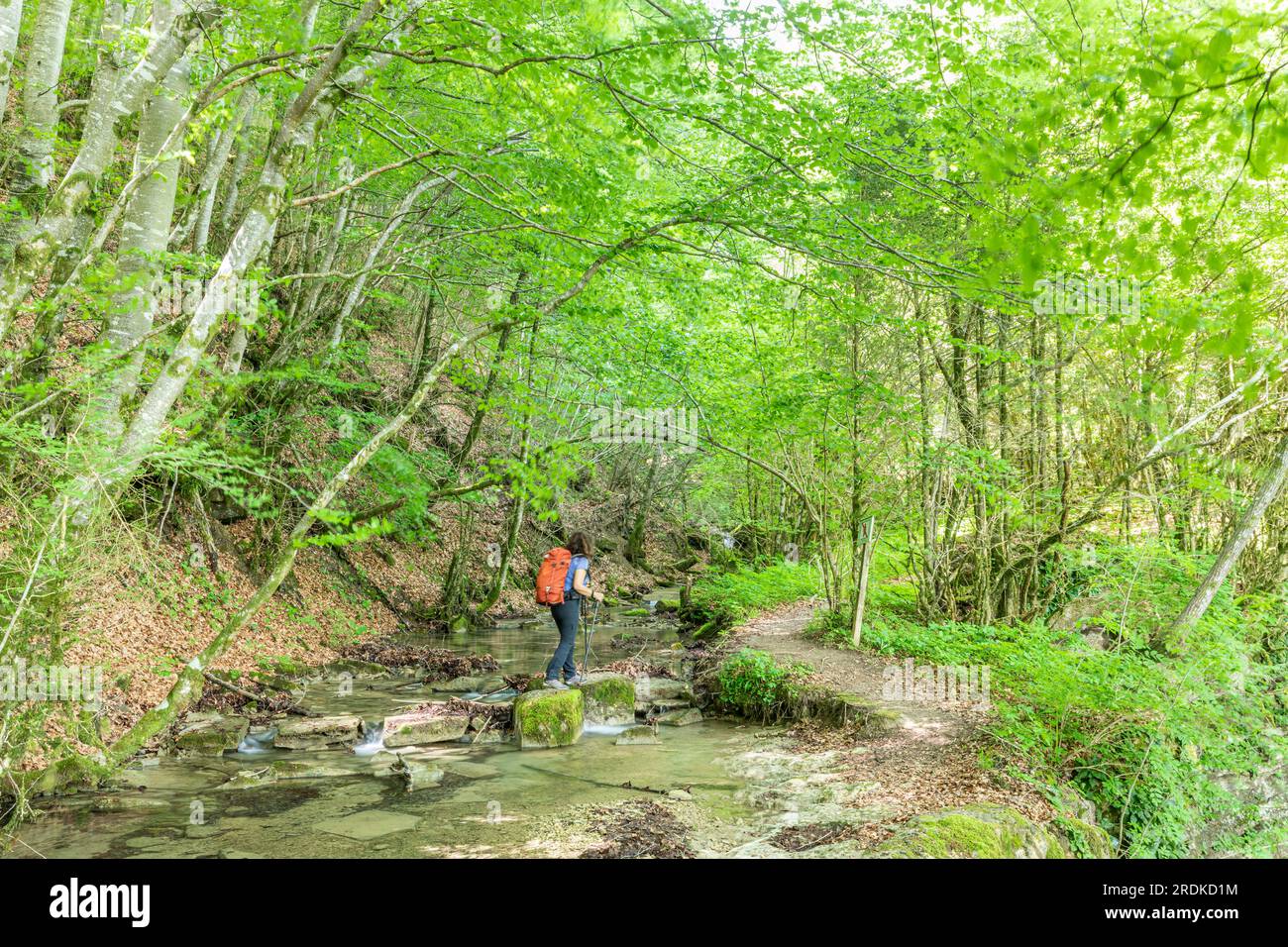 Torrent de la Masica, Vallfogona de Ripolles, Barcellona, Spagna Foto Stock