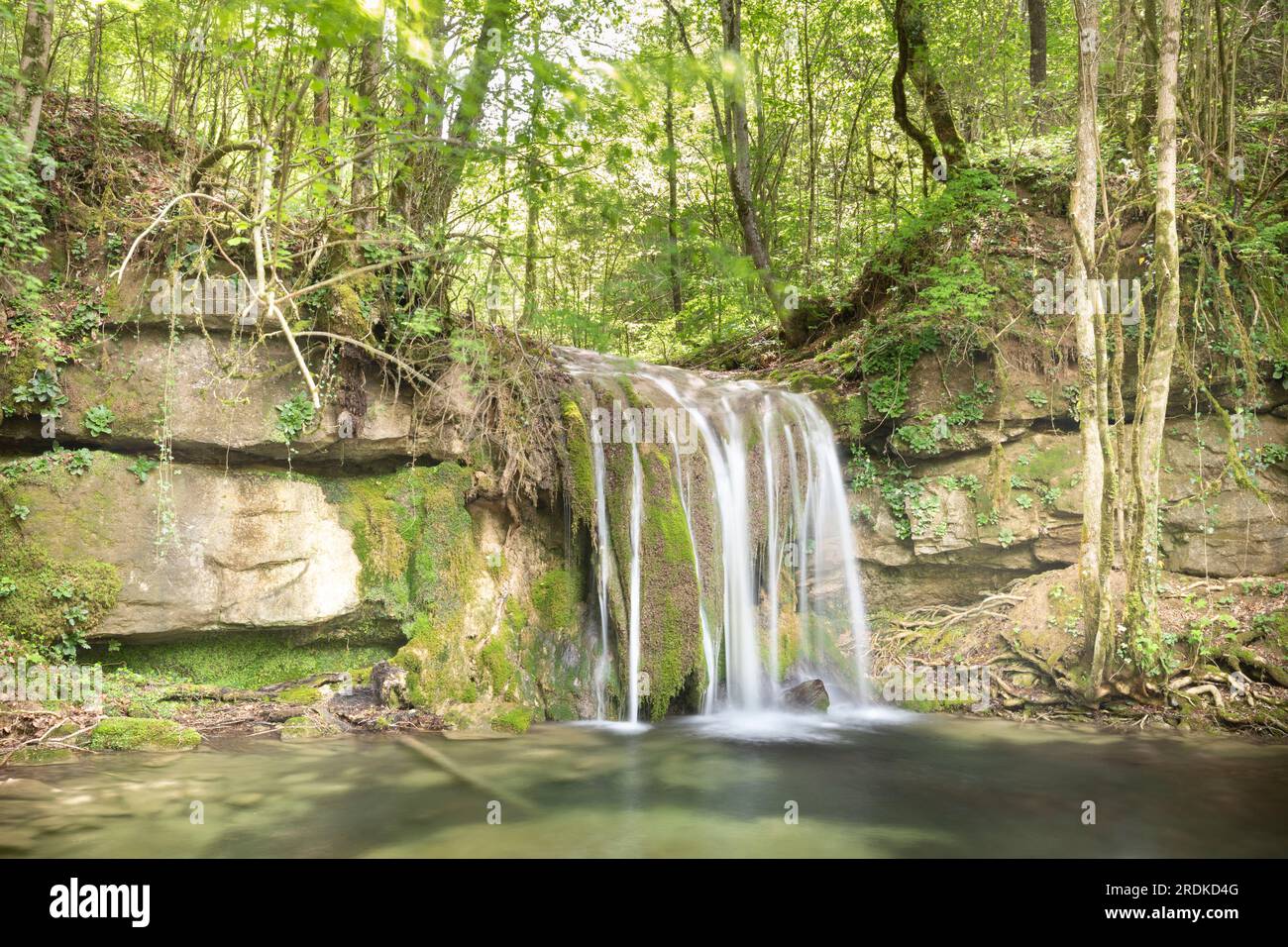 Torrent de la Masica, Vallfogona de Ripolles, Barcellona, Spagna Foto Stock