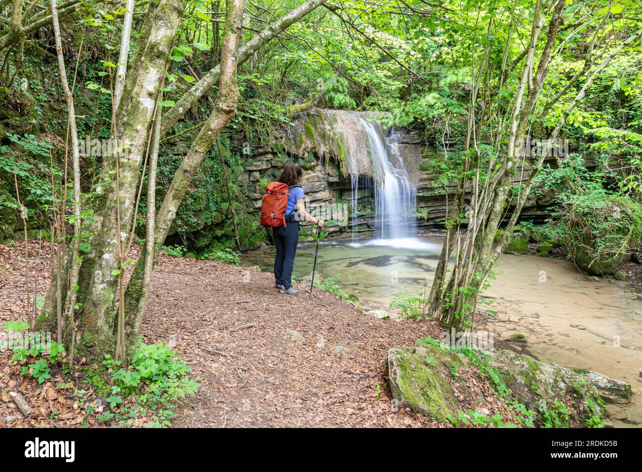 Torrent de la Masica, Vallfogona de Ripolles, Barcellona, Spagna Foto Stock