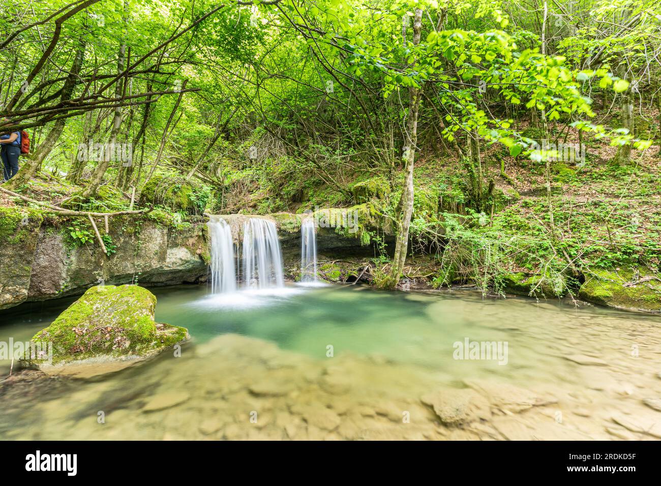 Torrent de la Masica, Vallfogona de Ripolles, Barcellona, Spagna Foto Stock