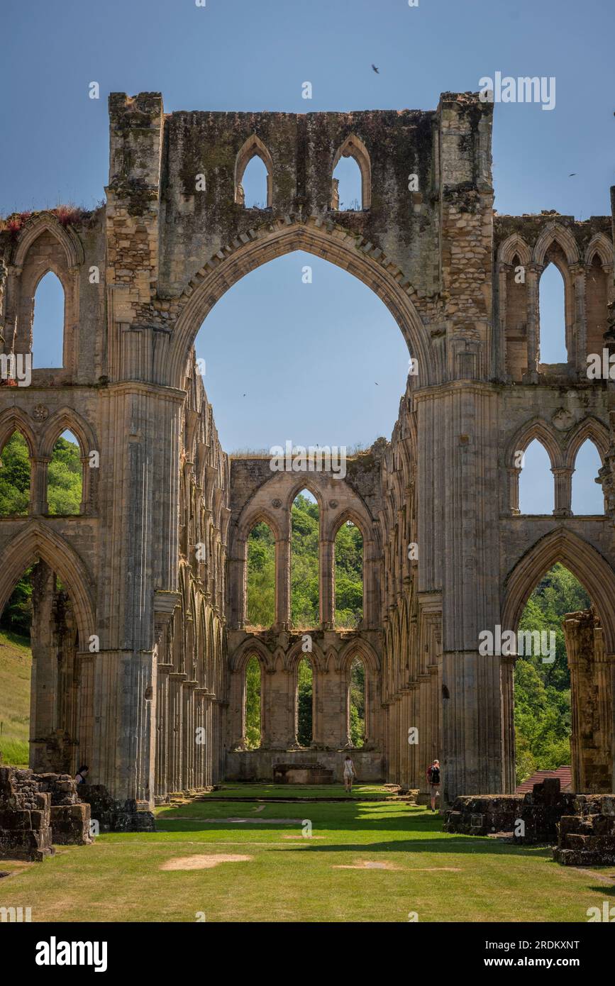 Le rovine dell'abbazia cistercense di Rievaulx nel North Yorkshire, Regno Unito Foto Stock