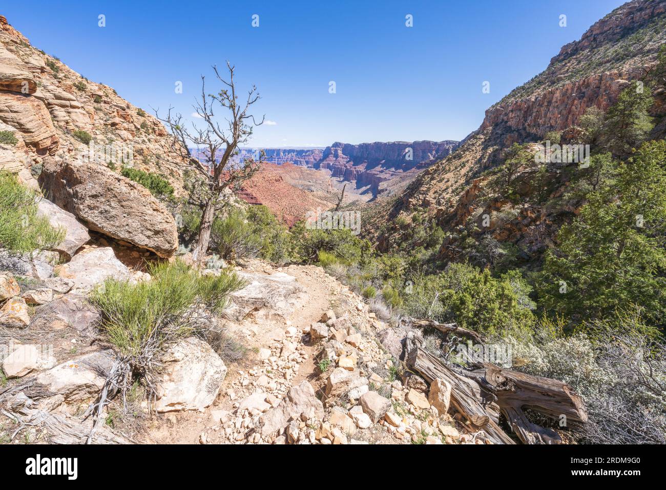 Escursioni a piedi lungo il sentiero abbronzante nel Grand Canyon National Park, arizona, stati uniti Foto Stock