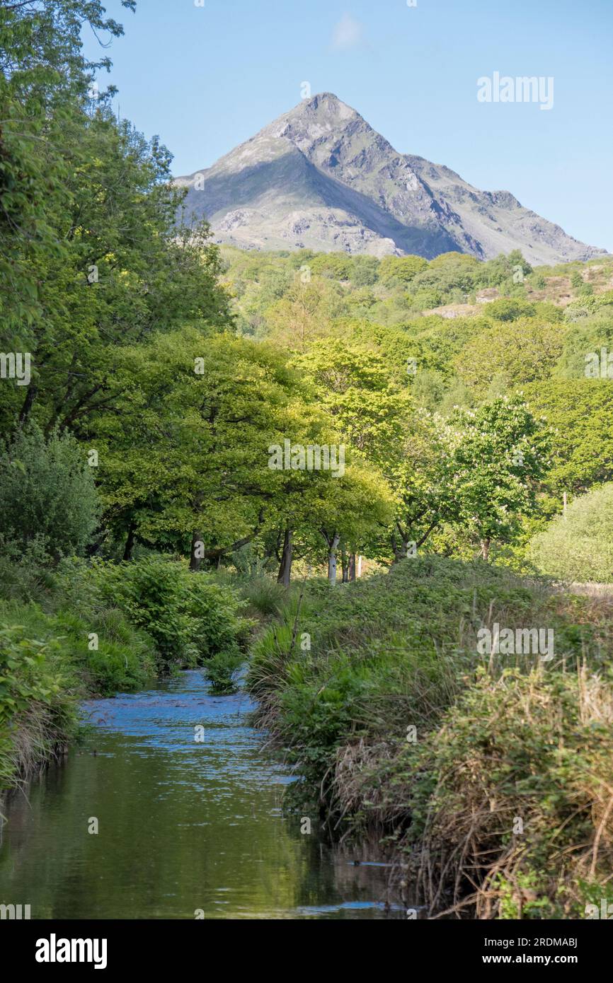 Cnicht Mountain, Snowdonia 'eryri' National Park, Galles del Nord, Regno Unito Foto Stock