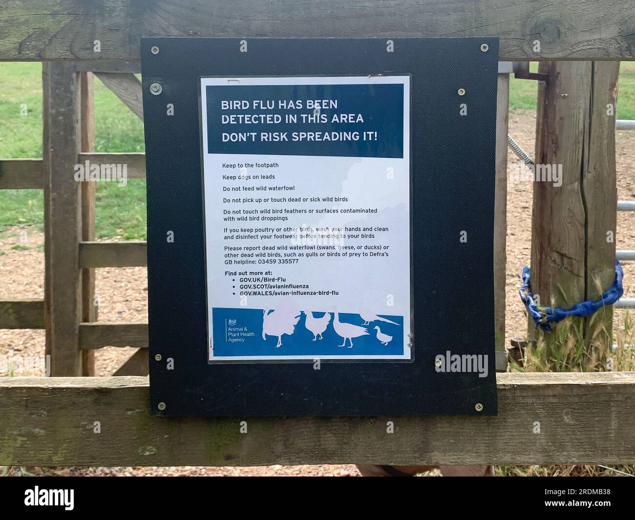 Iver, Buckinghamshire, Regno Unito. 21 luglio 2023. Un avviso dell'Agenzia per la salute degli animali e delle piante avverte i visitatori circa l'influenza aviaria a Langley Park. Credito: Maureen McLean/Alamy Foto Stock