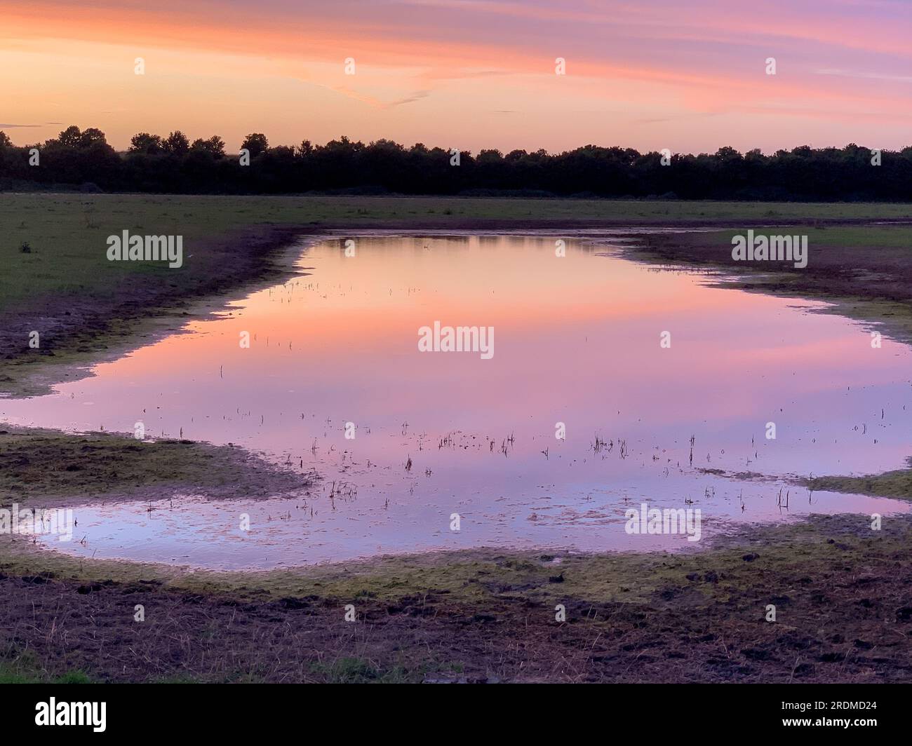 Dorney, Buckinghamshire, Regno Unito. 9 luglio 2023. Il sole tramonta su un nuovo lago di acque alluvionali è apparso su Dorney Common. Thames Water è autorizzato a scaricare l'acqua piovana in eccesso nel vicino Roundmoor Ditch e gli abitanti del villaggio di Eton Wick con proprietà che tornano a Roundmoor Ditch si lamentano di un puzzo di acque reflue dall'acqua. Credito: Maureen McLean/Alamy Foto Stock