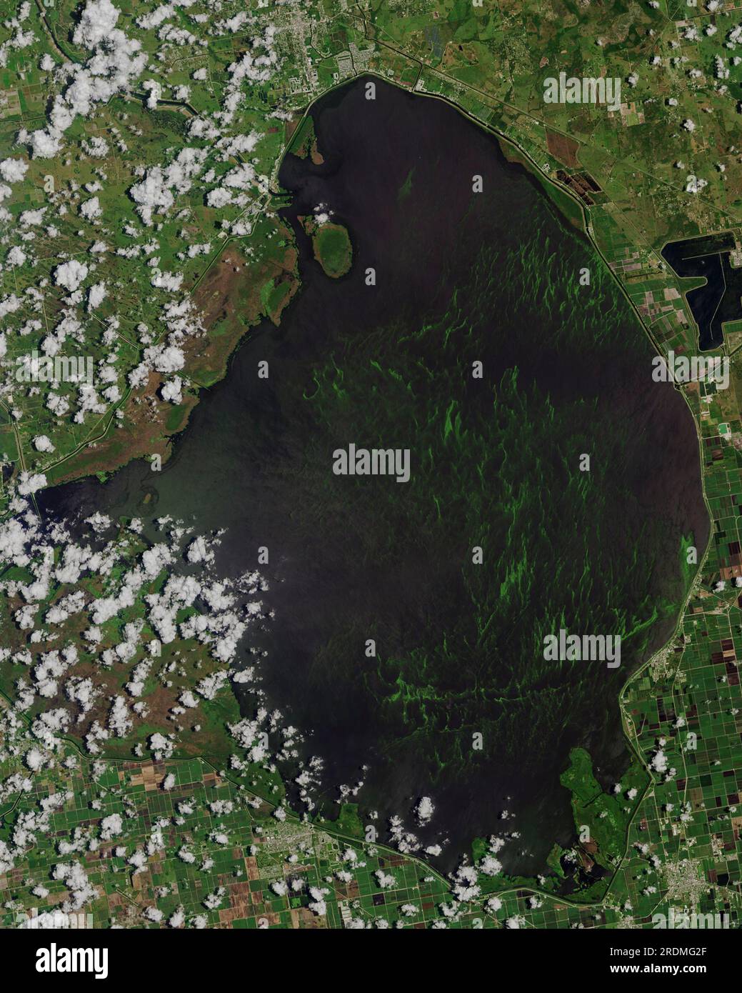 Foto aerea di una fioritura di alghe sul lago Okeechobee, Florida Foto Stock