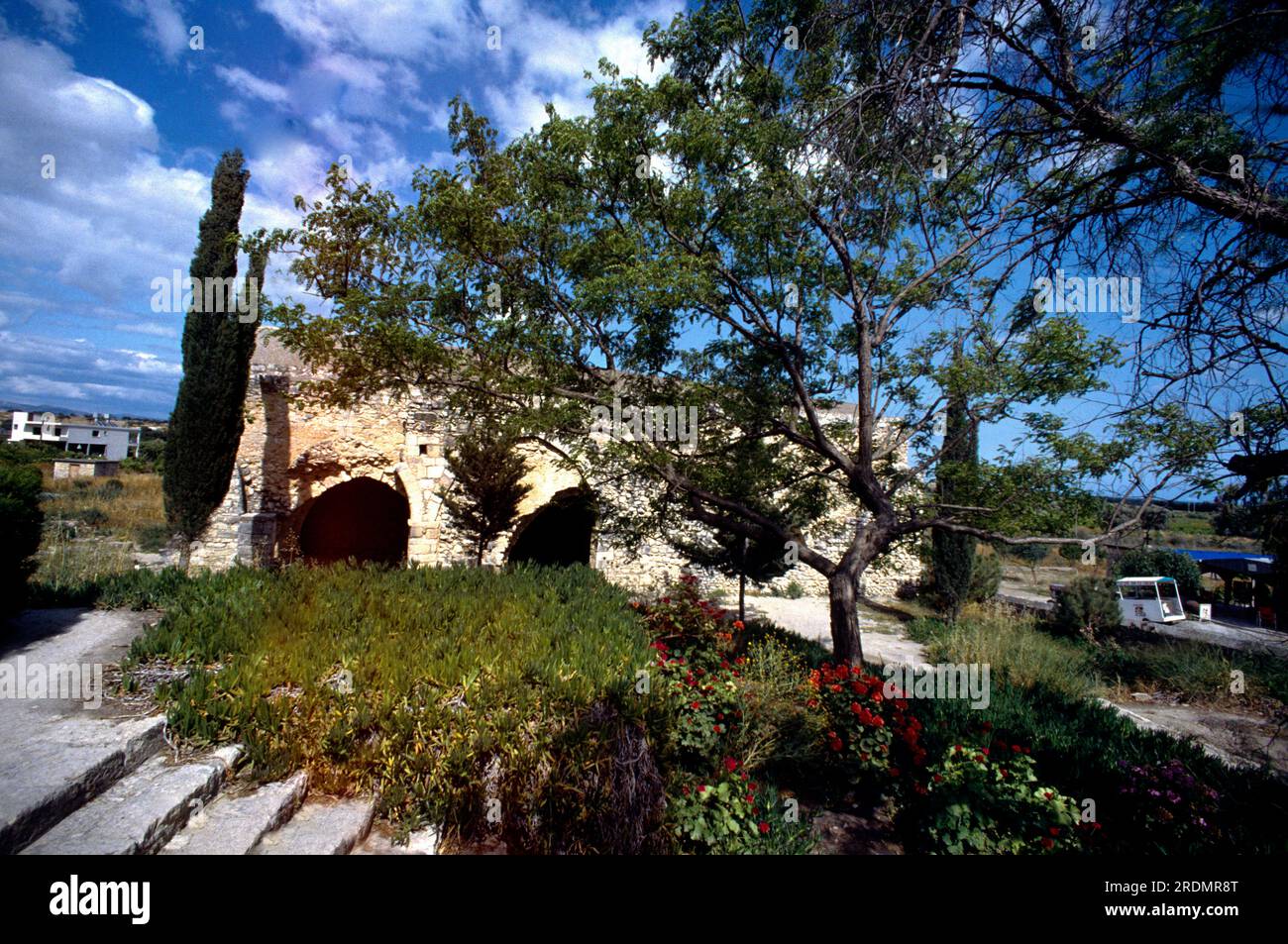 Limassol Cipro Castello di Kolossi, ex fortezza crociata, attuale castello costruito nel XV secolo. E Garden Foto Stock