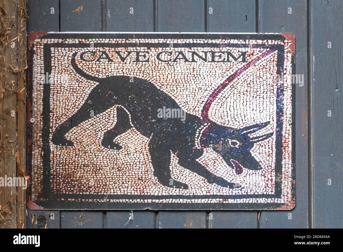 Replica del segno mosaico Cave Canem, in latino per Beware of the Dog Foto  stock - Alamy