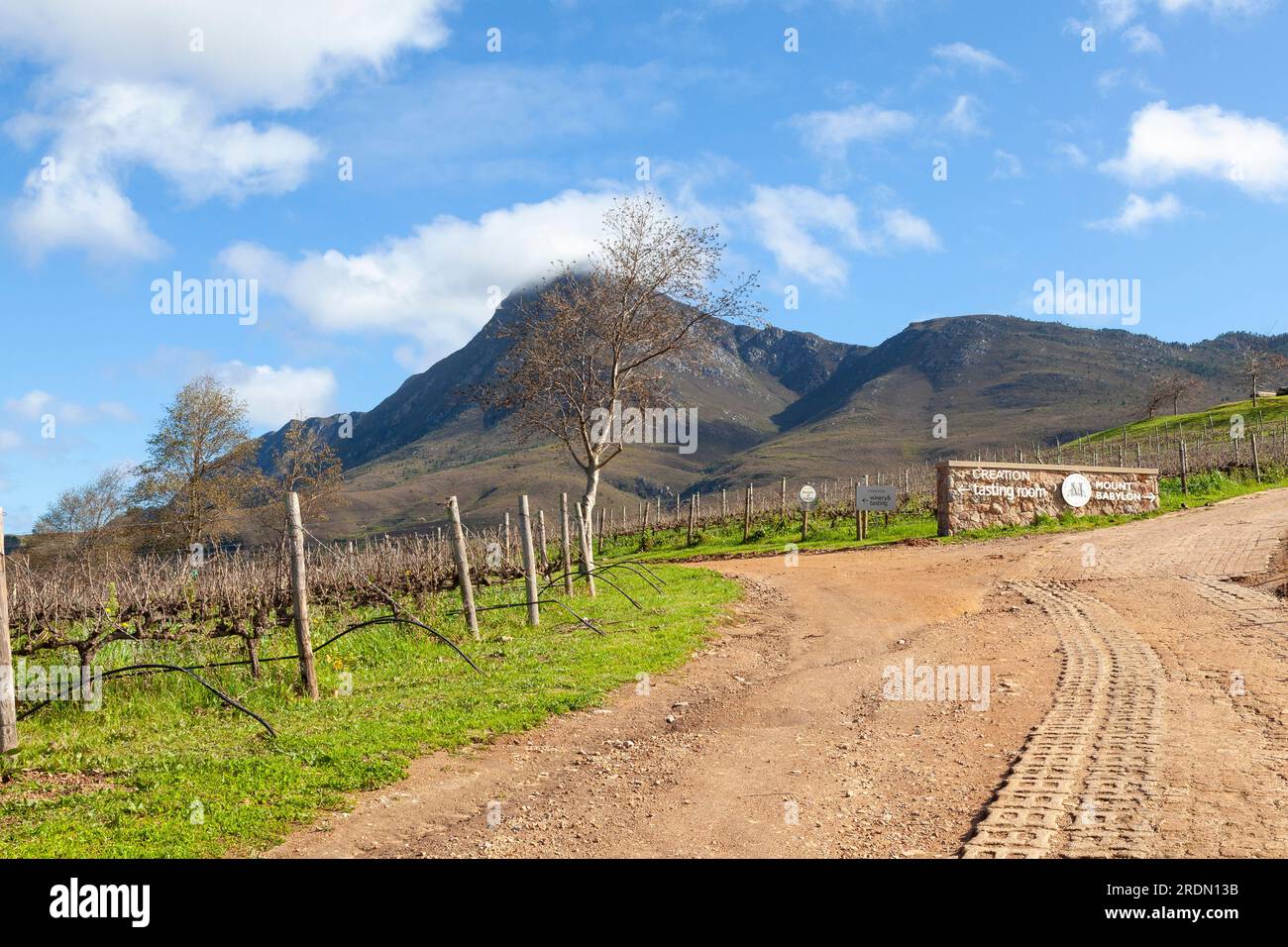 Vigneti sui vini creativi, Hemel-en-Aarde Valley, Hermanus, Western Cape Winelands, Sudafrica, Votato tra i primi 5 nella classifica World's Best Vineyards 2023 Foto Stock