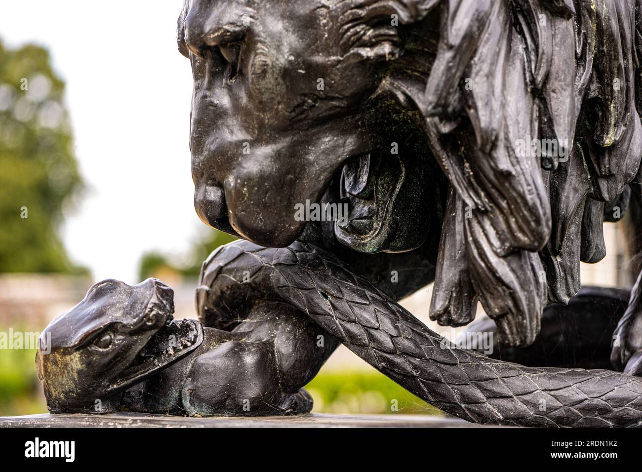 Scultura in bronzo di un leone che pesa un serpente a Kingston Lacey, Wimborne Minster, Dorset, Regno Unito Foto Stock