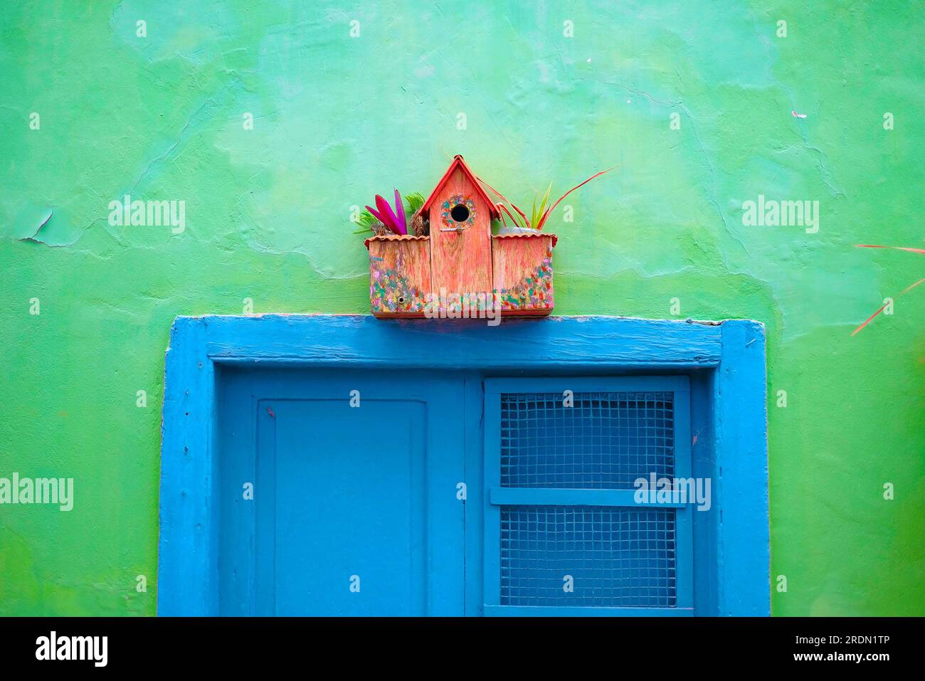 Contenitore decorativo utilizzato come vaso di fiori su una parete verde sopra una finestra blu. Foto Stock