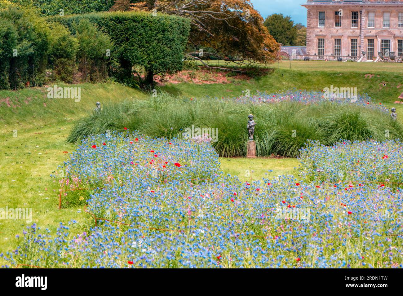 Fiori colorati nei giardini di Kingston Lacey, Wimborne Minster, Dorset, Regno Unito Foto Stock