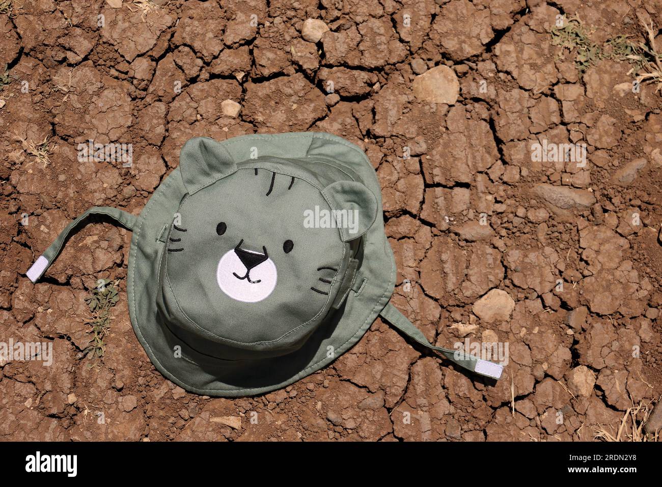 Un cappello con un animale selvaggio in cima su un terreno incrinato. Foto Stock