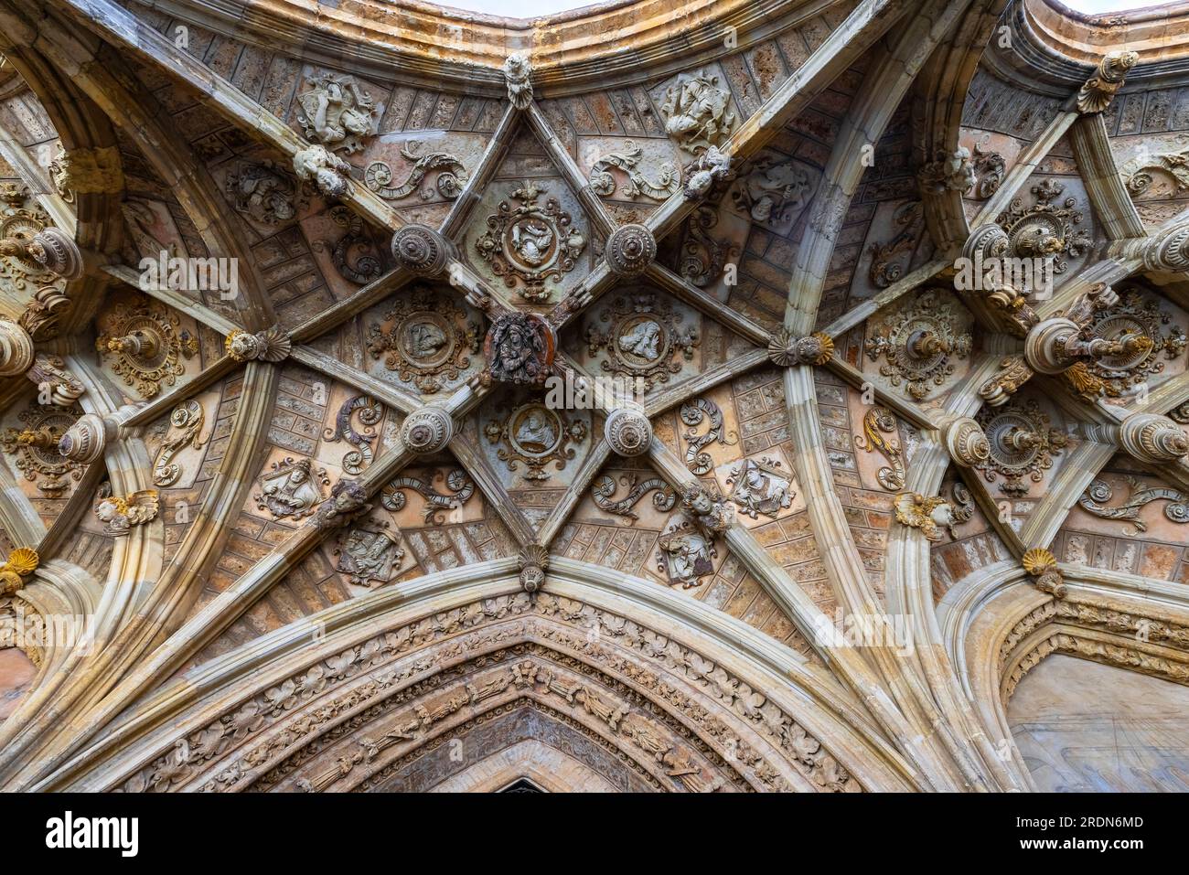 Soffitto tardo gotico nel Chiostro della Cattedrale di León, Castiglia-León, Spagna. La Cattedrale di Santa María de Regla de Leon. Castilla León, Spagna. Foto Stock