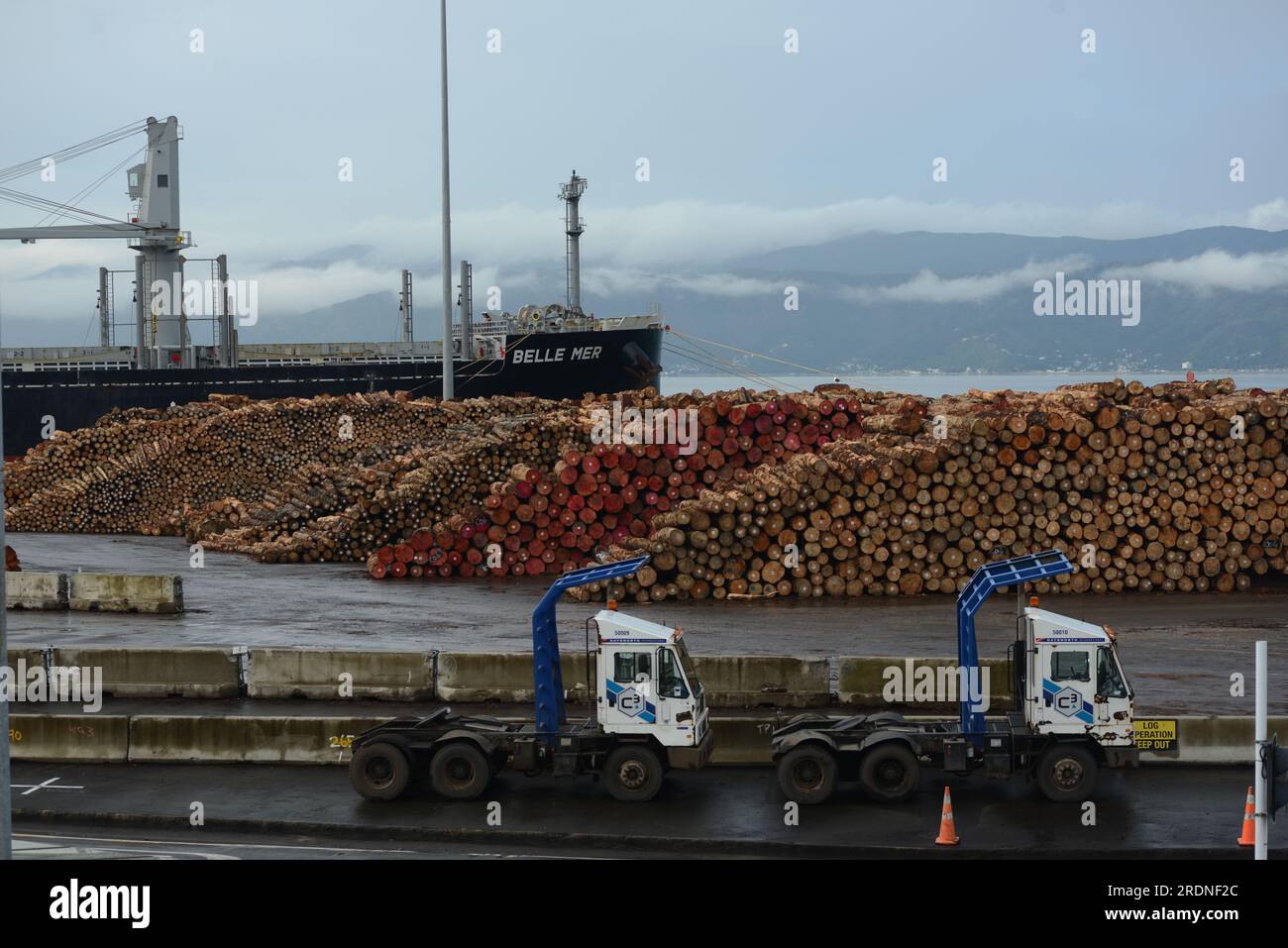 WELLINGTON, NUOVA ZELANDA, 16 MAGGIO 2023: Tronchi di Pinus radiata accumulati pronti per l'esportazione nel porto di Wellington Foto Stock