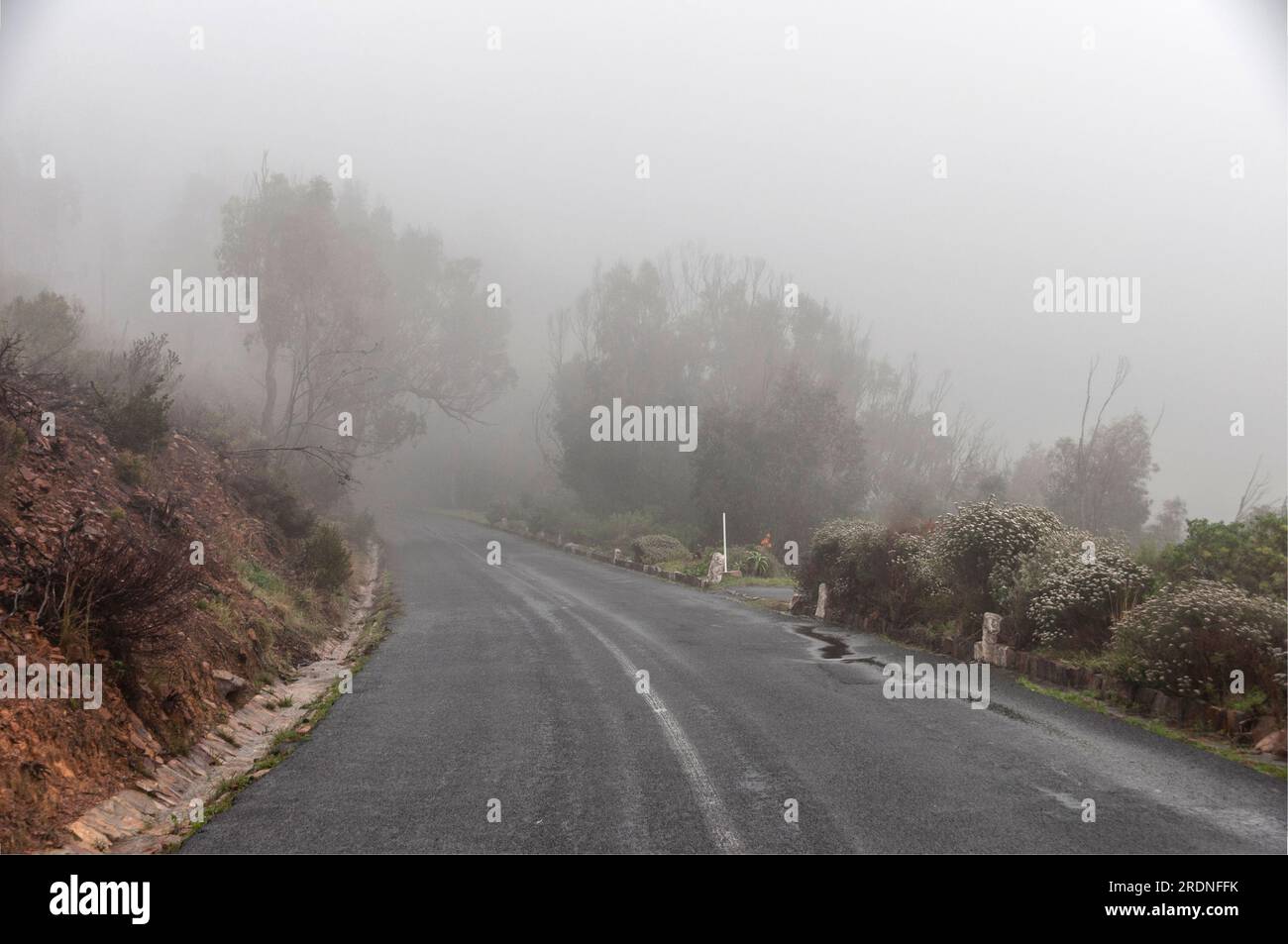 Misty, strada pericolosa. Foto Stock