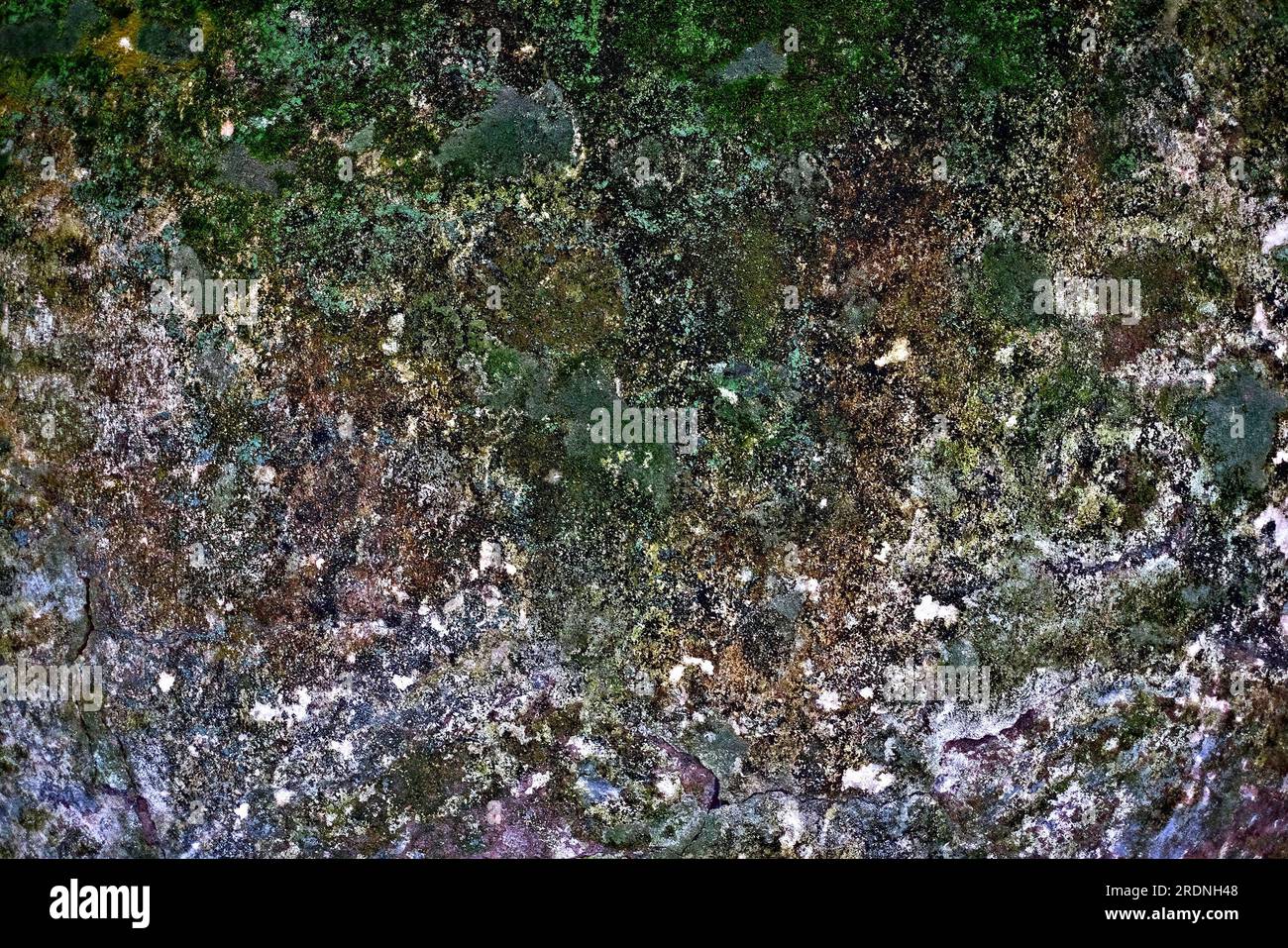 Una parete di roccia grande superficie coperta da vari licheni. Foto Stock