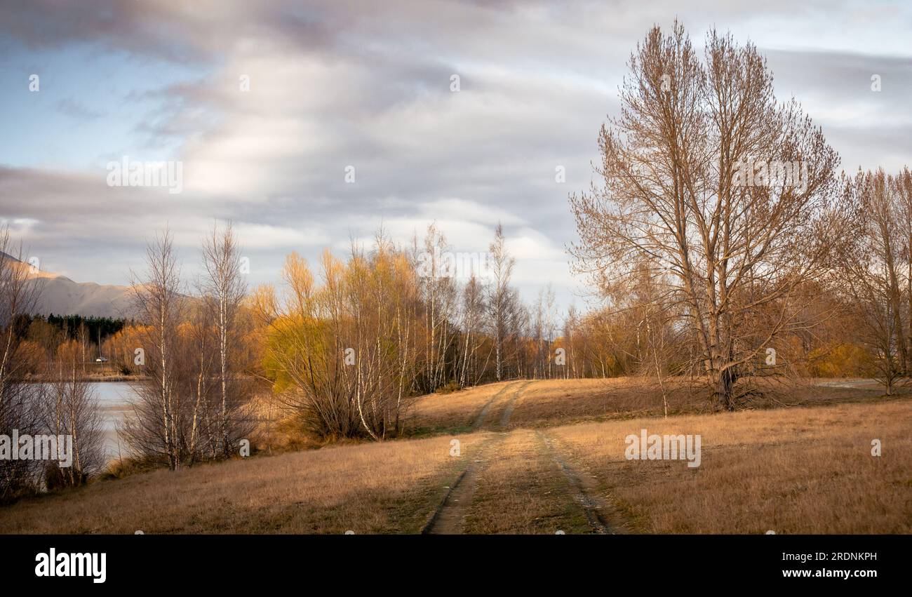Pista della boccola. Foto Stock