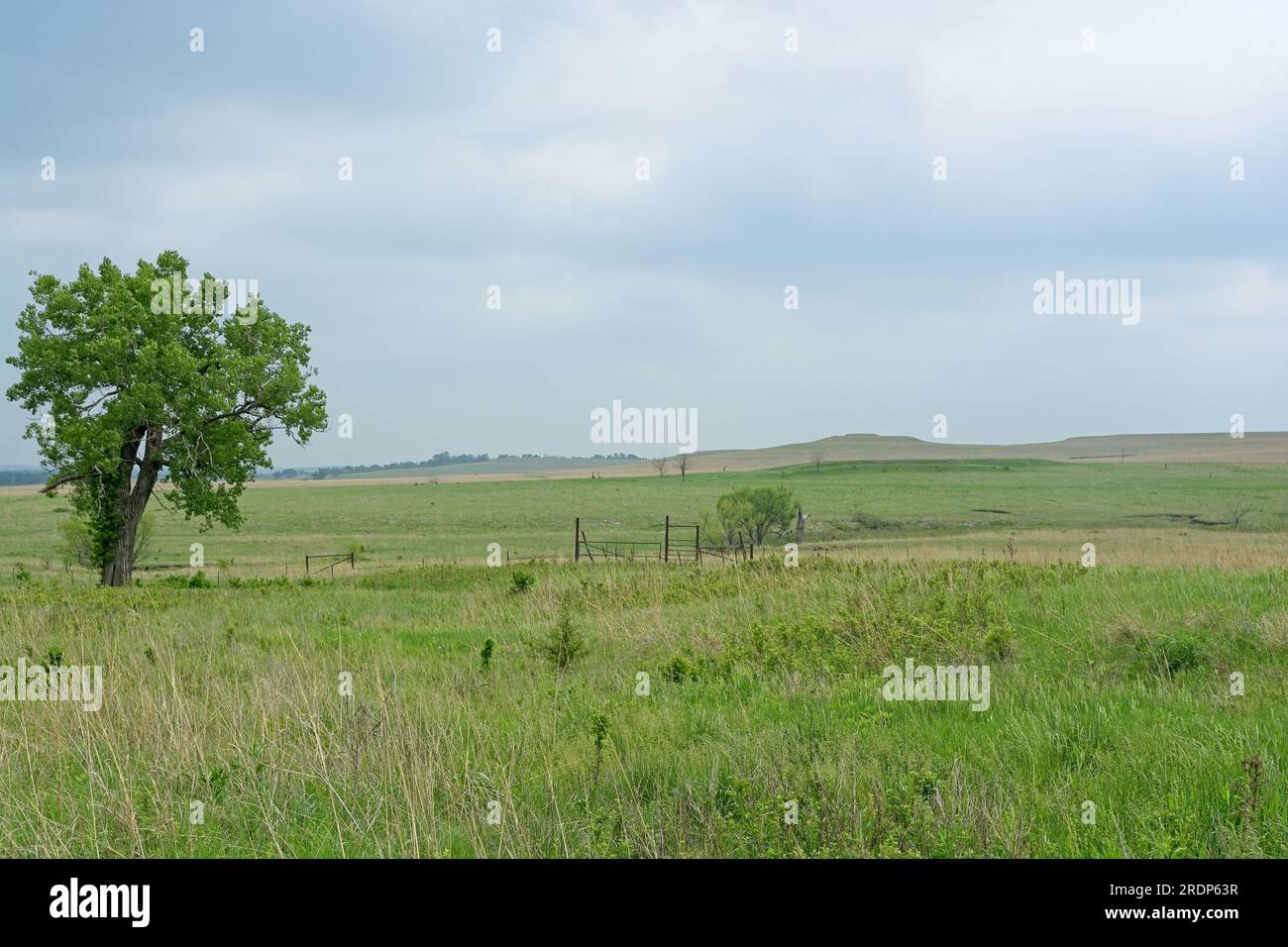 Terreni di pascolo ondulati di Flint Hills nella Tallgrass Prairie National Preserve Foto Stock