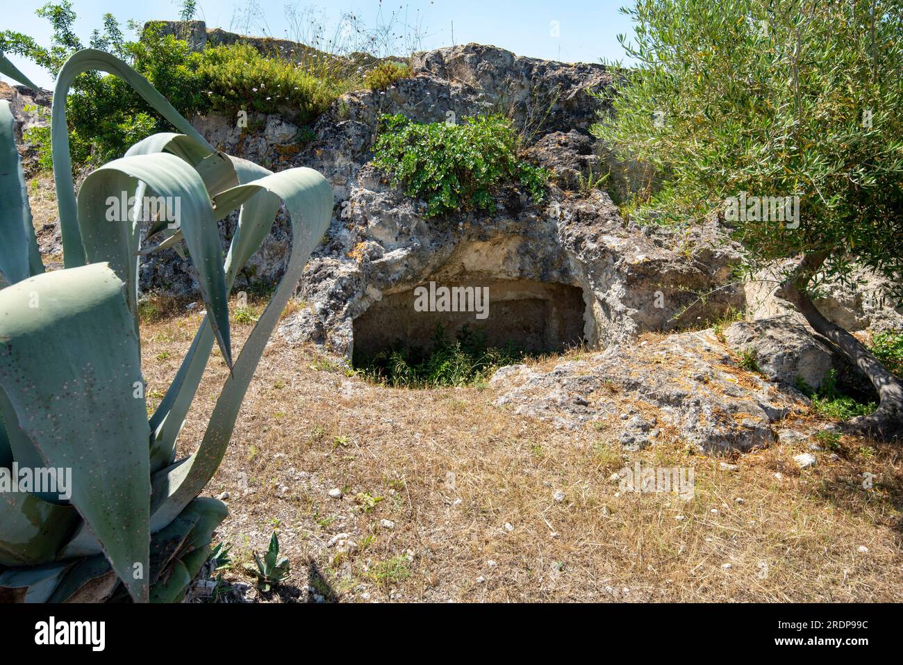 Tuvixeddu Necropolis - Cagliari - Italia Foto Stock