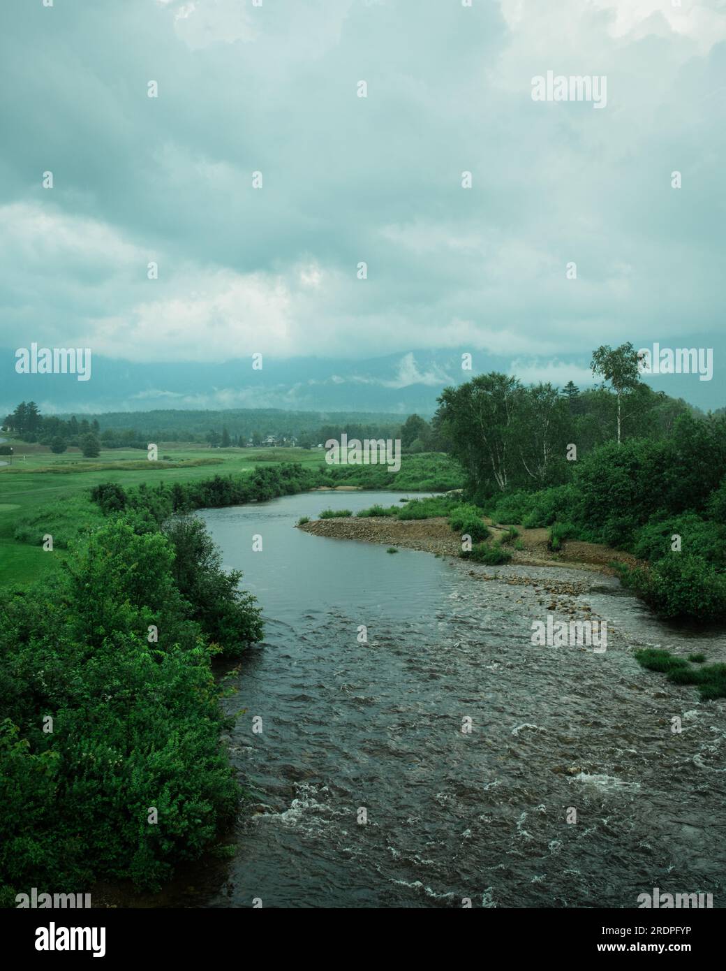 Il fiume Ammonoosuc in un pomeriggio piovoso, Bretton Woods, New Hampshire Foto Stock